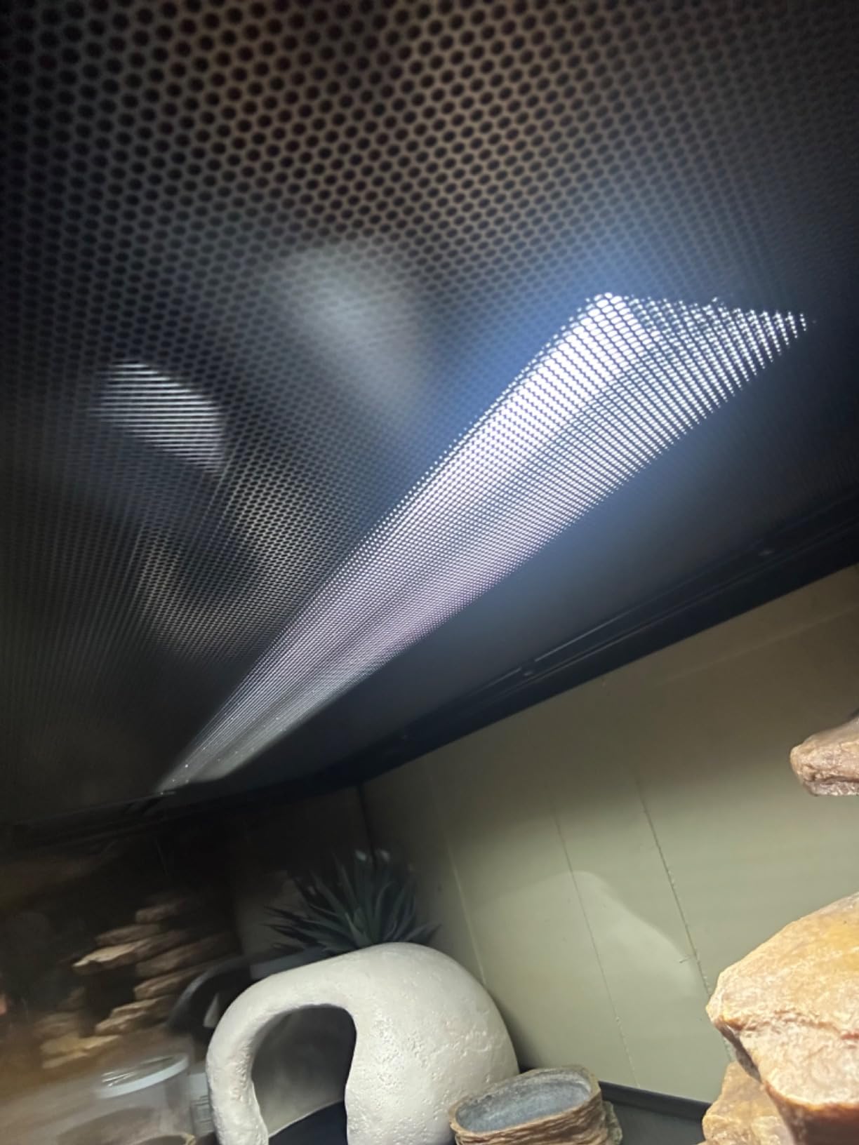 24W T5 HO UVB Reptile Light Fixture Kit, Terrarium Hood Light with Desert UVB 10.0 Fluorescent Tube, Ideal for Tropical and Desert Habitats customer photo 2