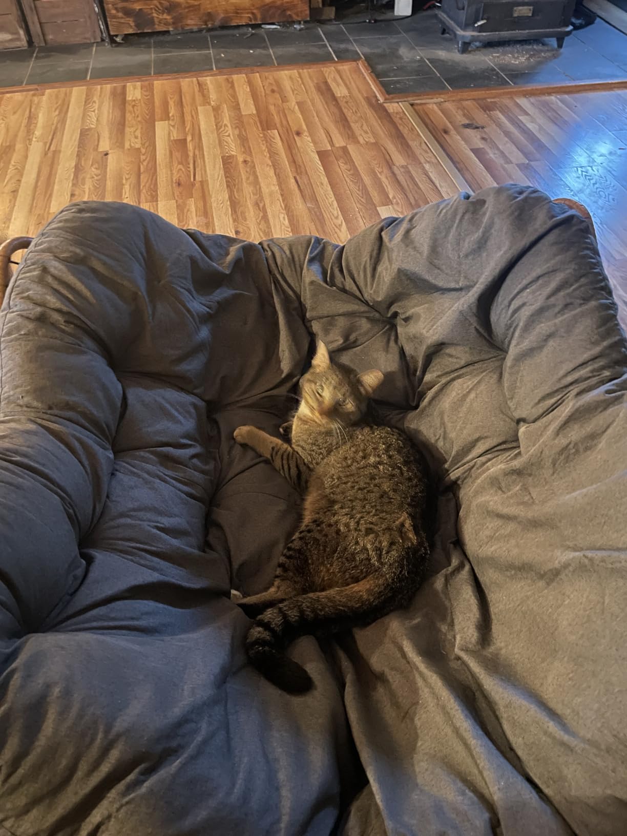 SWITTE Outdoor Rocking Chair, Oversized Patio Papasan Rocker, Comfy Wicker Reading Lounge, Indoor Egg Chair for Bedroom, Living Room, Porch, Garden, Lawn-Dark Grey customer photo 1