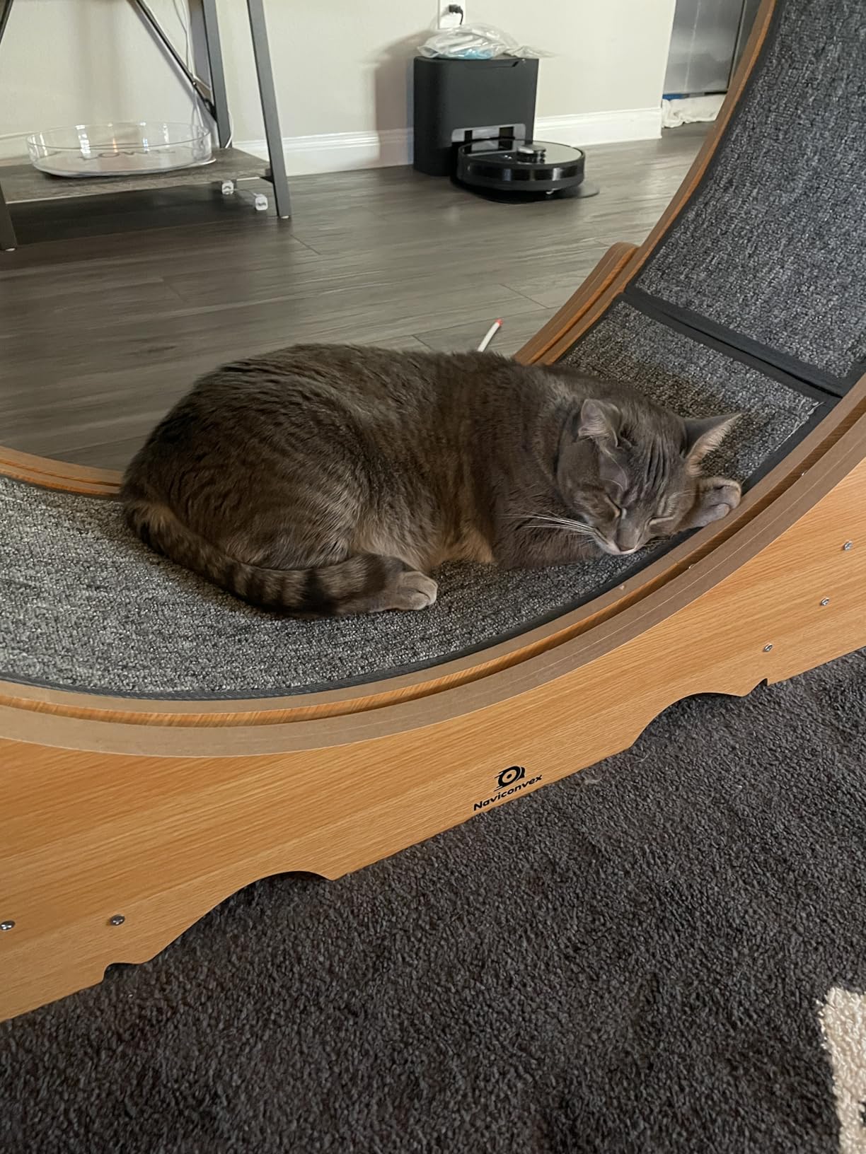 Cat Wheel, 48
