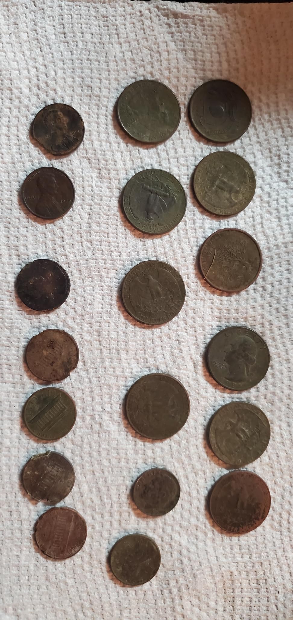 MINELAB X-Terra PRO All-Terrain Professional Fully Waterproof Metal Detector for Adults with Pro-Switch Technology customer photo 1