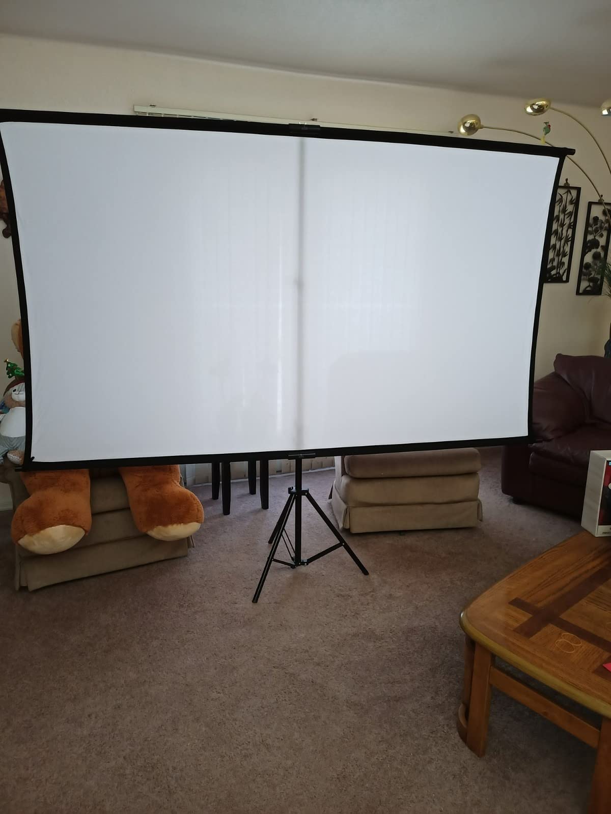 60 Inch Portable Projector Screen with Tripod Stand, Compact Mobile Projection Screen for Small Spaces, Height Adjustable and Wrinkle-Free for Indoor Outdoor Camping and Office Use customer photo 1