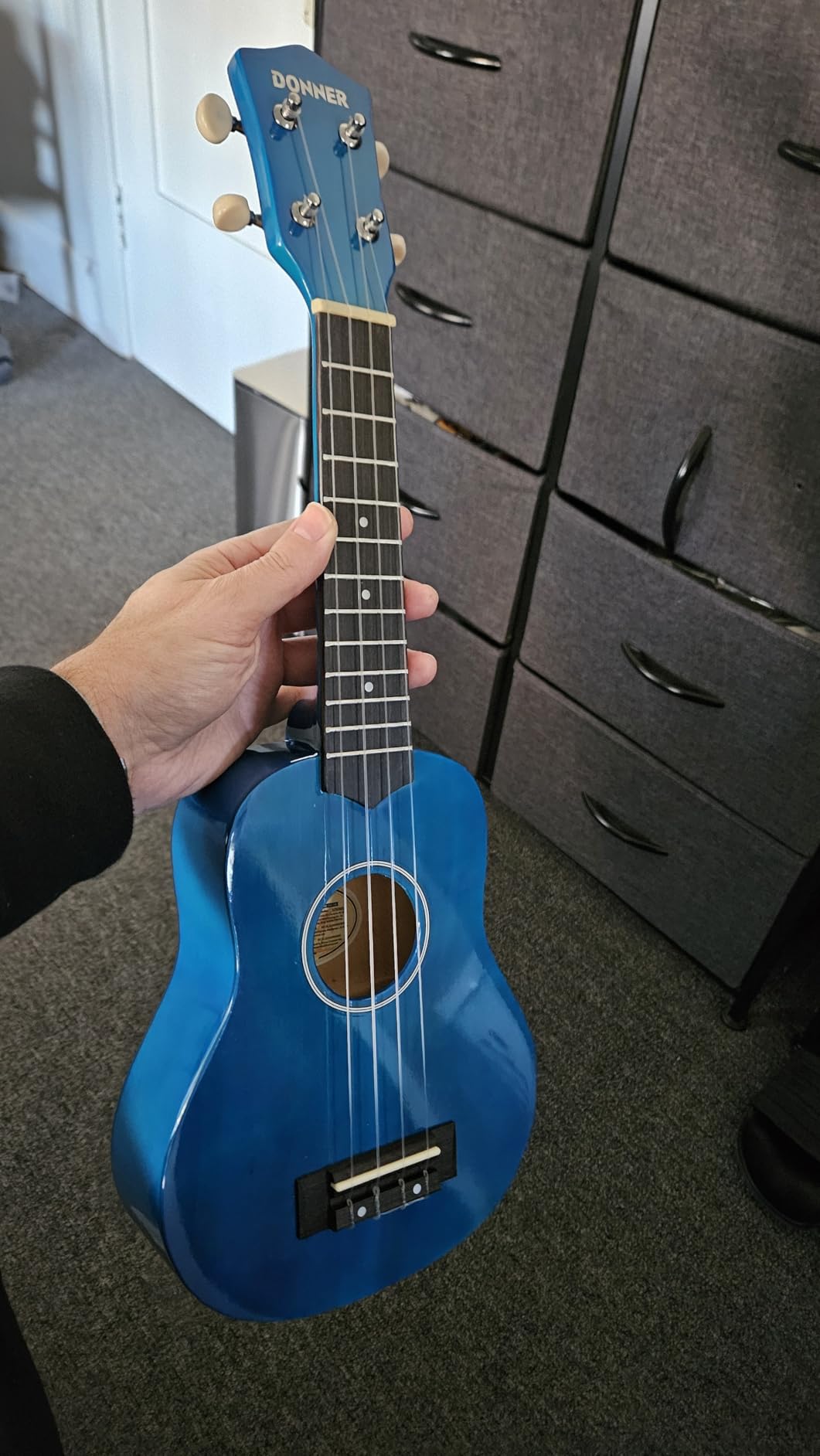 Donner Soprano Ukulele for Beginners 21 Inch Ukelele Starter Bundle Kit with Free Online Lessons Bag Strap String Tuner Picks Cloth Ukalalee Yukalalee (Blue) customer photo 1