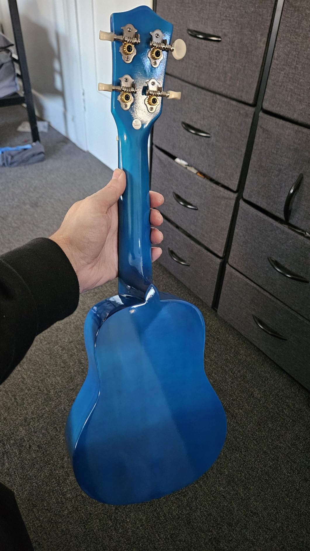 Donner Soprano Ukulele for Beginners 21 Inch Ukelele Starter Bundle Kit with Free Online Lessons Bag Strap String Tuner Picks Cloth Ukalalee Yukalalee (Blue) customer photo 2