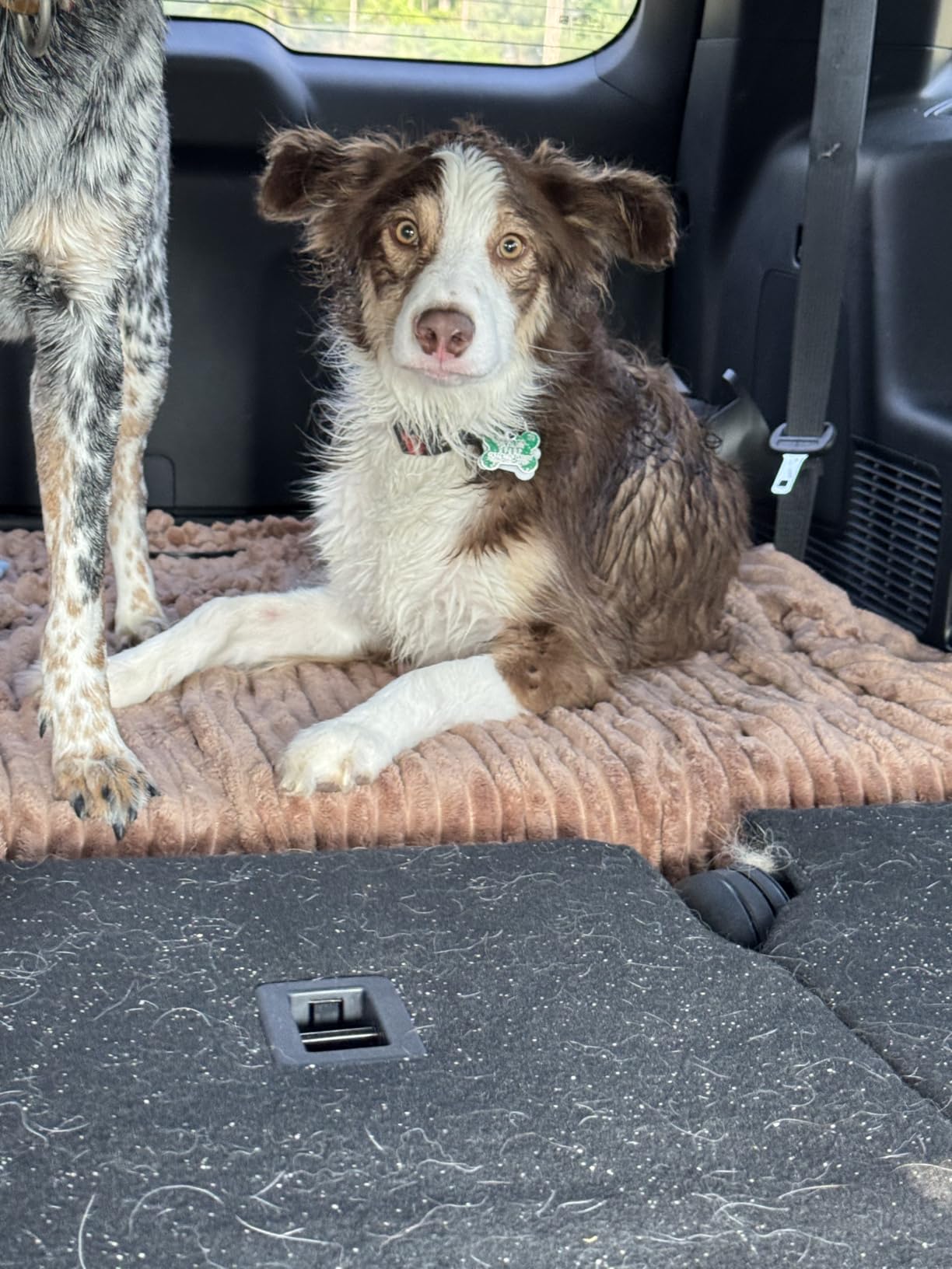 Bedsure GentleSoft Heated Blanket Electric Throw - Soft Ribbed Flannel Electric Blanket, Heating with 4 Time Settings, 6 Heat Levels, 3 hrs Timer Auto Shut Off, Gifts for Grandma (50x60 inches, Grey) customer photo 1