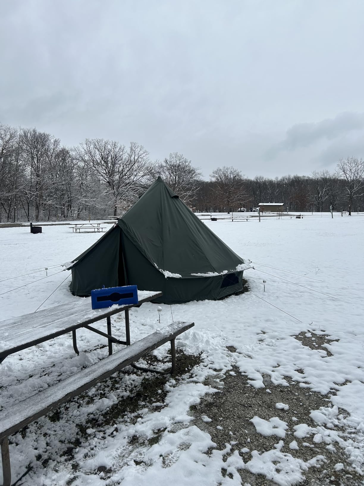 Cotton Canvas Bell Tent with Stove Jack, Roomy Yurt for Family Glamping Camping, 4 Season Tent with Zipped Removable Floor customer photo 1