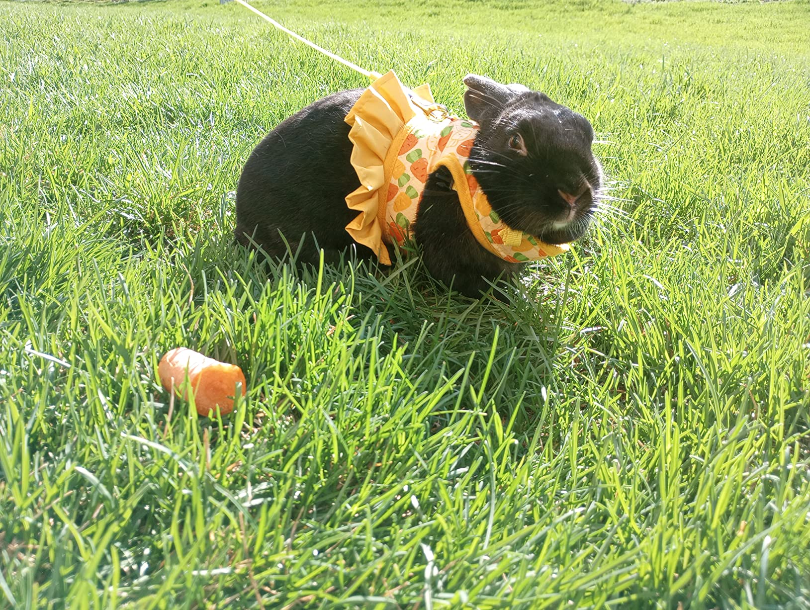 Rabbit Harness and Leash for Walking Escape Proof - Cute Strawberry Pattern Pink Mesh Breathable Bunny Vest Harness customer photo 2