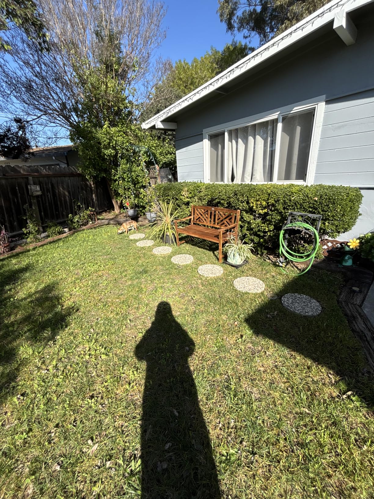 Giantex Outdoor Wooden Garden Bench - 2-Person Acacia Wood Loveseat with Armrests, Backrest, 800lbs Capacity, Patio Park Bench for Backyard, Front Porch Bench (Non-Foldable) customer photo 1