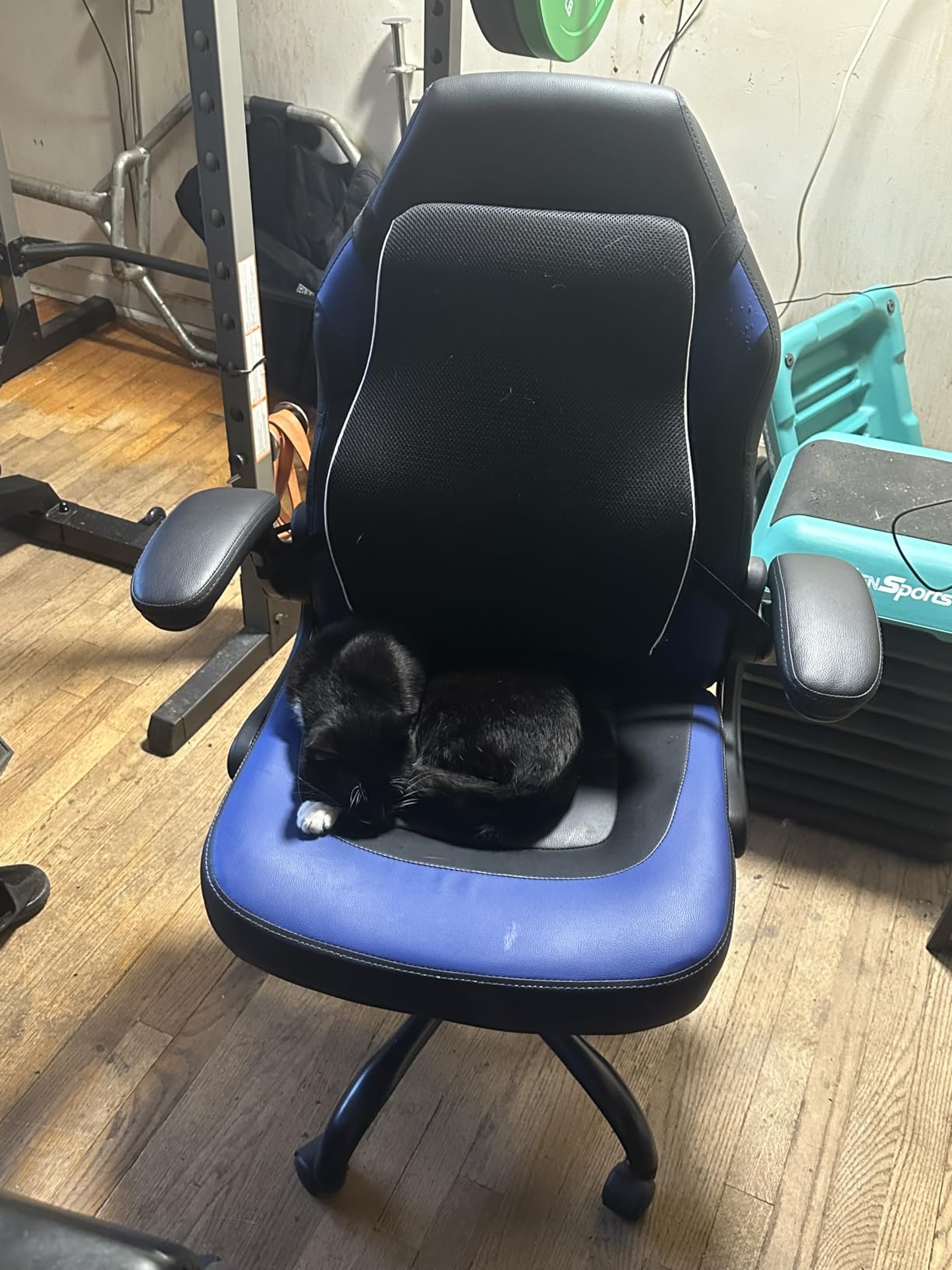 Sweetcrispy Computer Video Game Chair - Ergonomic Home Office with Comfy Lumbar Support, PU Leather Height Adjustable with Flip-up Armrest and 360deg Swivel Wheels, Blue, for Adults, Teens customer photo 1