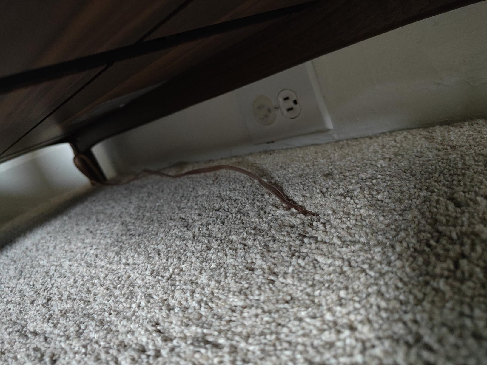 KOOTANS 22FT Fiberglass Electrical Wire Running Kit Wire Fishing Tools Fish Tape Wire Puller Through Wall Cable Snake Fish Rods Kit with Different Attachments customer photo 1