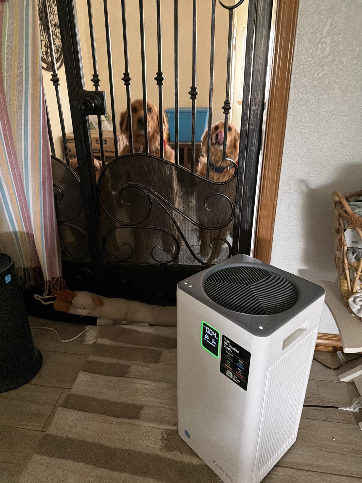 Kenmore PM2010 Air Purifiers with H13 True HEPA Filter, Covers Up to 1200 Sq.Foot, 24db SilentClean 3-Stage HEPA Filtration System, 5 Speeds for Home Large Room, Kitchens & Bedroom, PM2010 customer photo 1