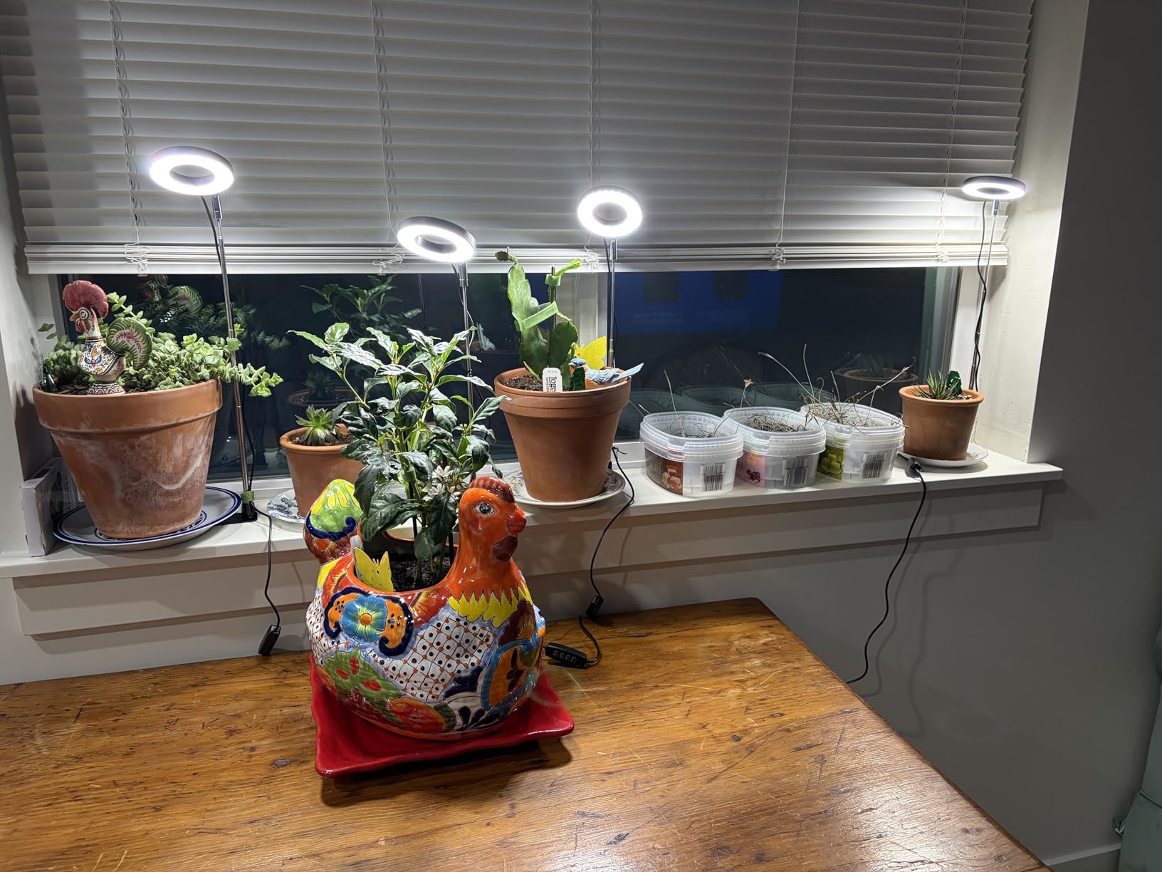 Plant Grow Light, 48 LEDs Full Spectrum Grow Lights for Indoor Plants, Height Adjustable Small Halo Grow Light with Base, 3 Optional Spectrums, Auto Timer 3/9/12Hrs, 10 Brightness, 3 Pack customer photo 1