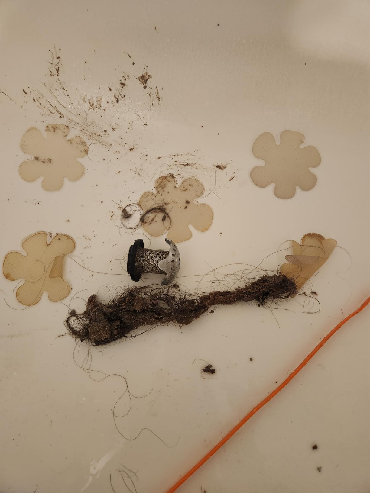 35.5inch Drain Clog Remover(1pcs), 25inch Drain Snake Hair Remover(6pcs) ＆ Cleaning Brush(2pcs), Hair Catcher Drain Auger Cleaner Tool Set For Toilet, Kitchen Sink, Bathroom Tub, Sewer, 9 Pack customer photo 1