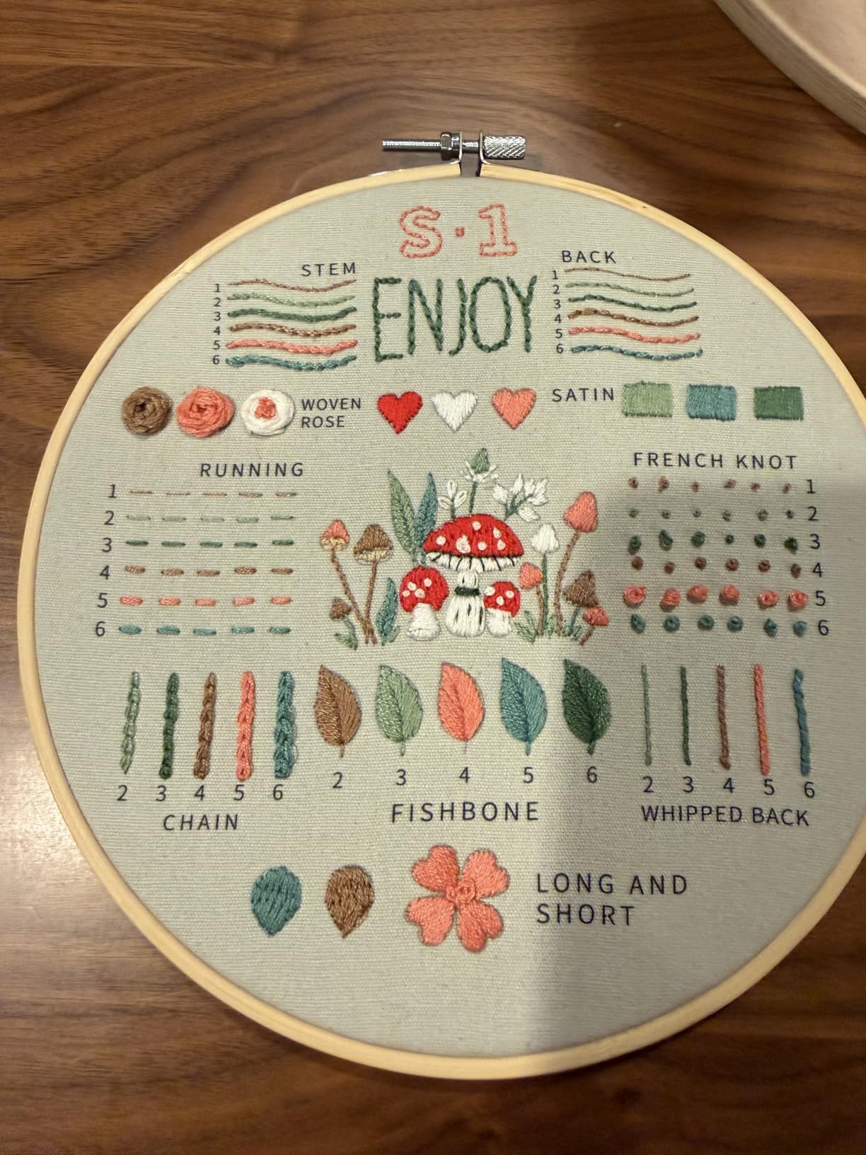 ETSPIL Embroidery Kit for Adult Beginners, 3-Pack 33-Stitch Practice Samplers, Pre-Stamped Patterns, 7.8-Inch Hoop, Threads & Needles, Step-by-Step Guide & Video customer photo 1