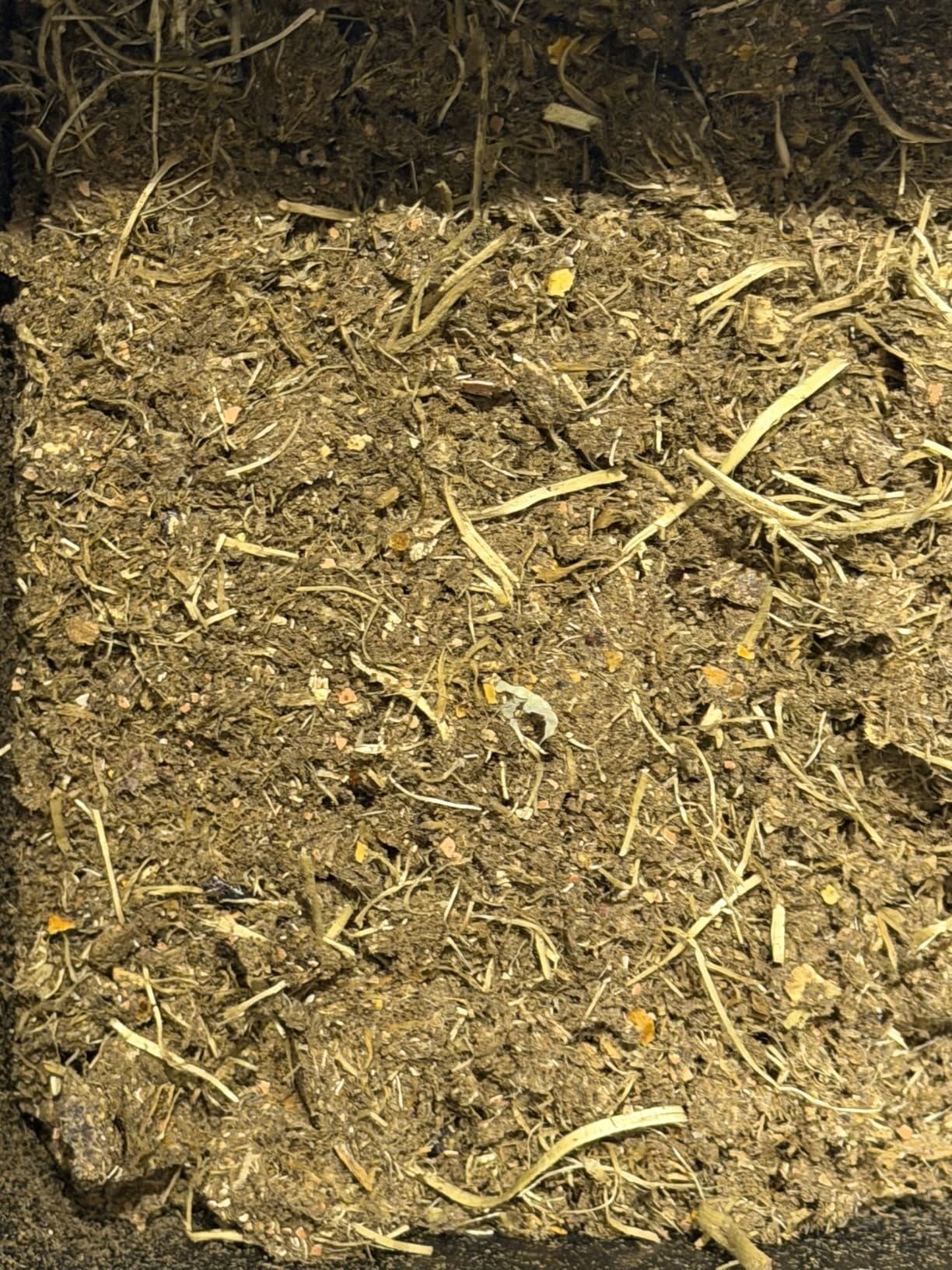 Food Cycler Eco 5 Award-Winning Kitchen Food Recycler | Indoor Composter Bin Alternative | Electric Countertop Food Disposer with Odorless 5L Indoor Food Waste Bin for Easy Waste Management | Grey customer photo 1