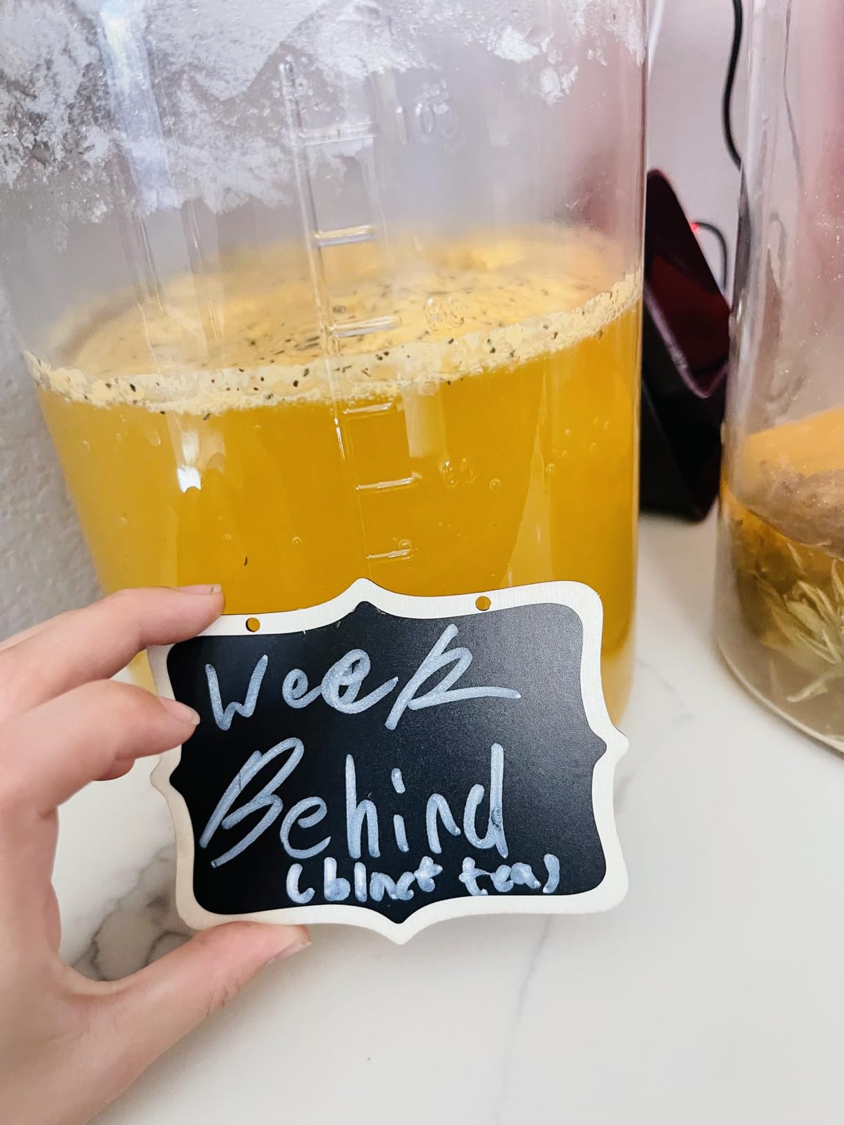 2 Pack 1 Gallon Large Fermentation Jars with 3 Airlocks and 2 SCREW Lids(100% Airtight Heavy Duty Lid w Silicone) - Wide Mouth Glass Jars w Scale Mark - Pickle Jars for Sauerkraut, Sourdough Starter customer photo 1