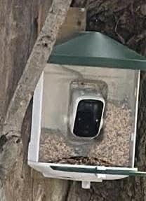 Bird Feeder with Camera with AI Identify Birds Species Solar Powered, Smart Bird House with Cam, 2K HD Video Live Stream, Instant Arrival Alerts - Green customer photo 1