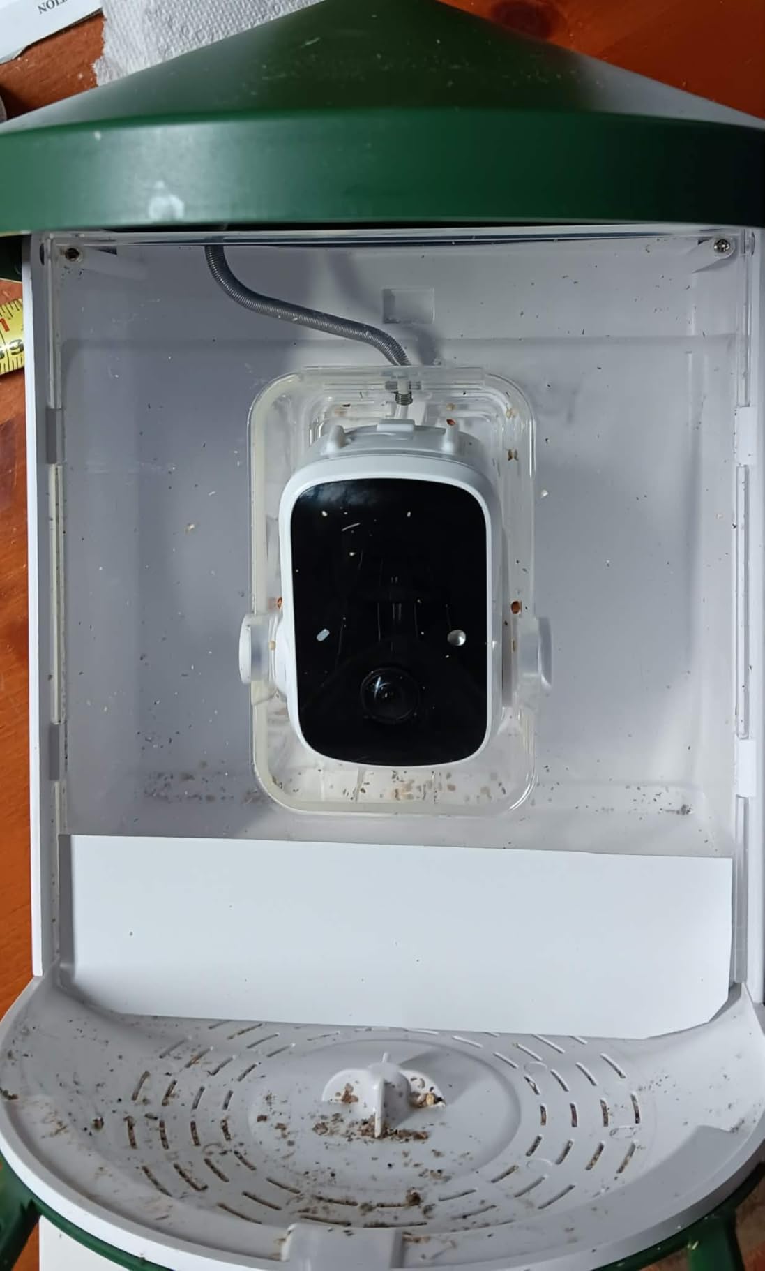 Bird Feeder with Camera with AI Identify Birds Species Solar Powered, Smart Bird House with Cam, 2K HD Video Live Stream, Instant Arrival Alerts - Green customer photo 2