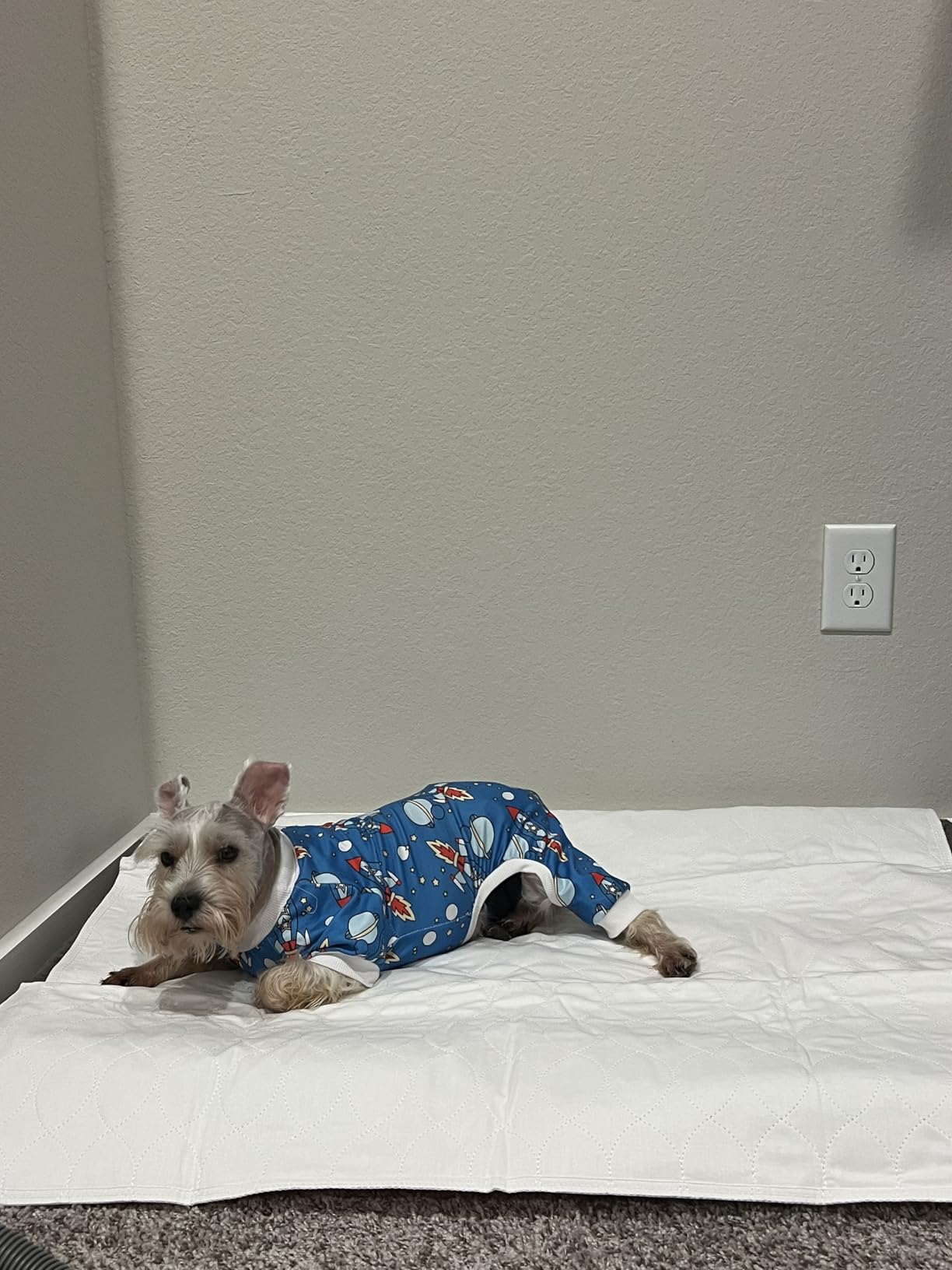 DMI Washable Underpads for Adults, Waterproof and Reusable Bed Pads for Juvenile Incontinence, Caregiving, Nursing, Hospitals, and Home Use, 34