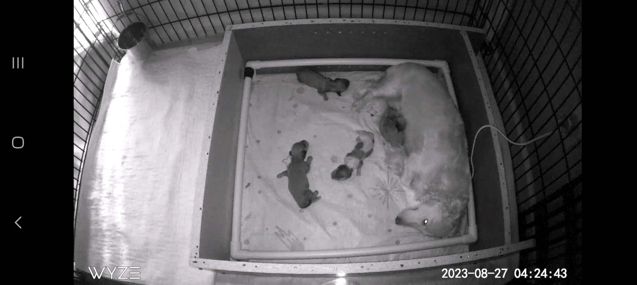 DMI Washable Underpads for Adults, Waterproof and Reusable Bed Pads for Juvenile Incontinence, Caregiving, Nursing, Hospitals, and Home Use, 34