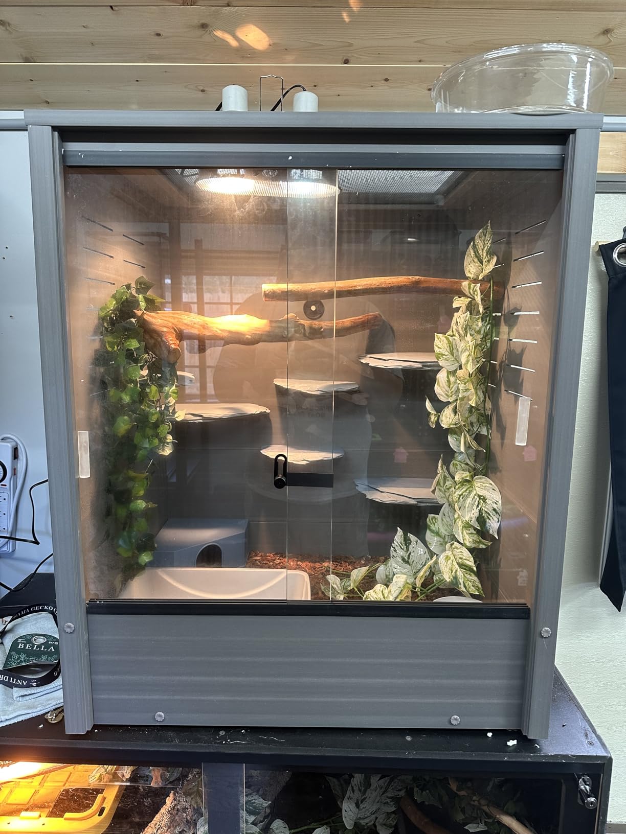 New Age Pet® Madagascar Vertical Reptile Lounge Habitat, (30