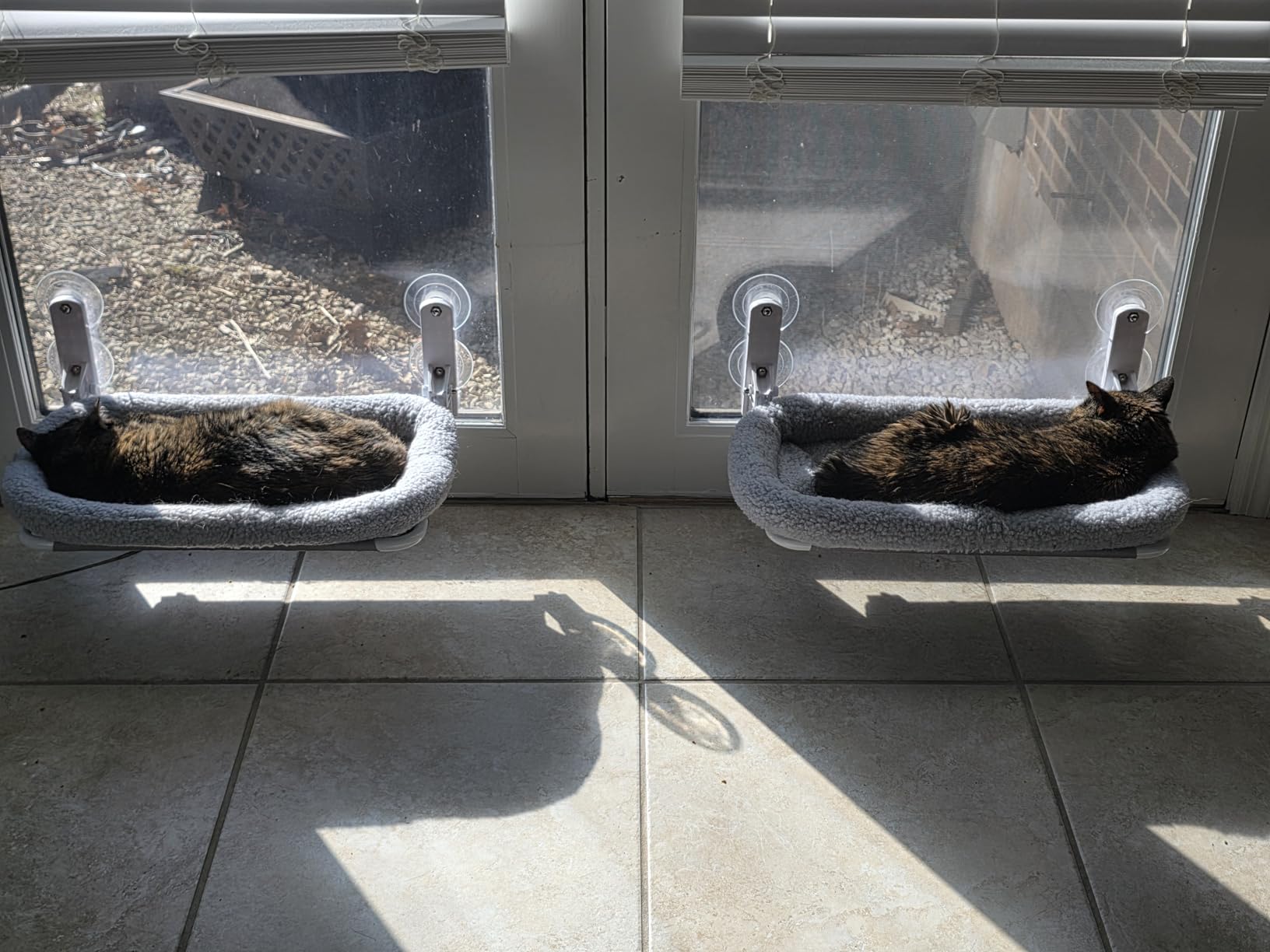 Zakkart Foldable Cat Hammock for Window - Cordless, Embeded Machine Washable Bed, Robust Metal Frame - Cat Window Perch for Large Cats and Kittens (White Bolster Bed, Medium) customer photo 1