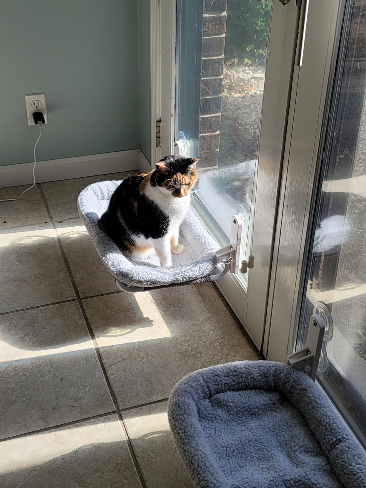 Zakkart Foldable Cat Hammock for Window - Cordless, Embeded Machine Washable Bed, Robust Metal Frame - Cat Window Perch for Large Cats and Kittens (White Bolster Bed, Medium) customer photo 2