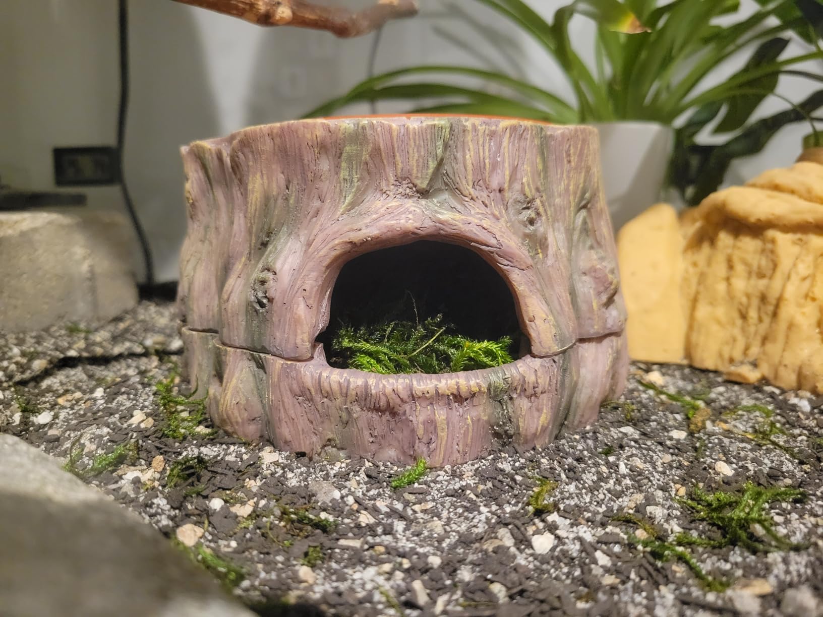 3 in 1 Reptile Hide Cave with Detachable Base & Humidity Dish, Essential Tank Terrarium Decor Humid Hideout Accessories for Small Reptiles Crested Gecko, Leopard Gecko, Lizard, Snake, Crabs customer photo 1