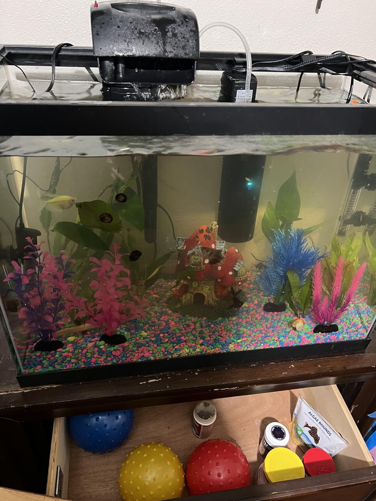 Aquarium Filter for 40-150 Gallon Tank, U-V Fish Tank Green Clean Machine Submersible Powerful Pump Canister Filter 400GPH for Pond Turtle Tank Saltwater Freshwater Crystal Clear Green Killing customer photo 1