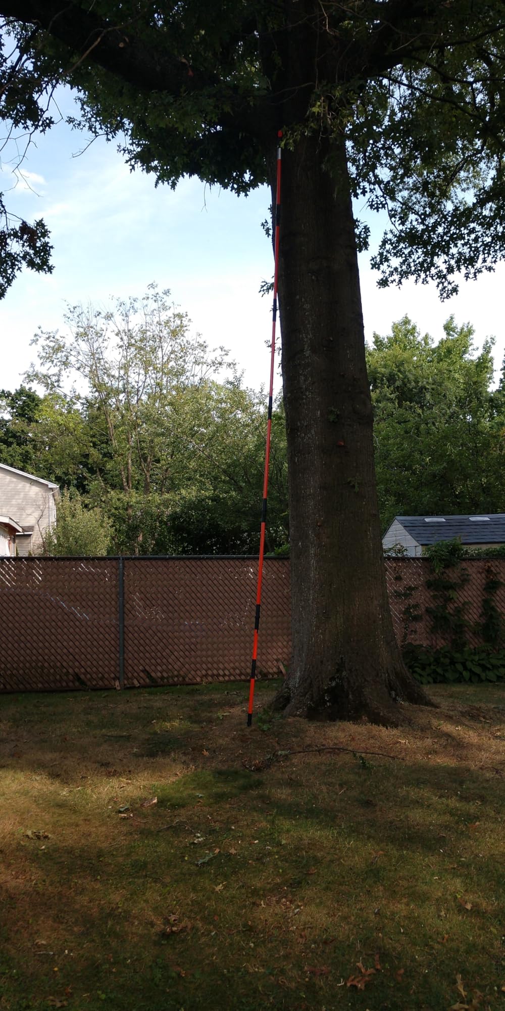 VEVOR Manual Pole Saw, 7.3-27 ft Extendable Tree Pruner, Sharp Steel Blade and Scissors High Branches Trimming, Branch Trimmer with Lightweight 8 Fiberglass Handles, for Pruning Palms and Shrubs customer photo 2