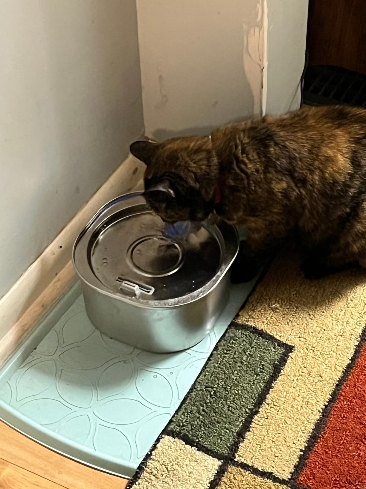 PEKTACO Stainless Steel Cat Water Fountain, 3.2L/108oz Cat Water Dispenser with Ultra-Quiet Water Pump and Water-Level Window, Dishwasher Safe Pet Drinking Fountain for Cats & Small Dogs customer photo 1