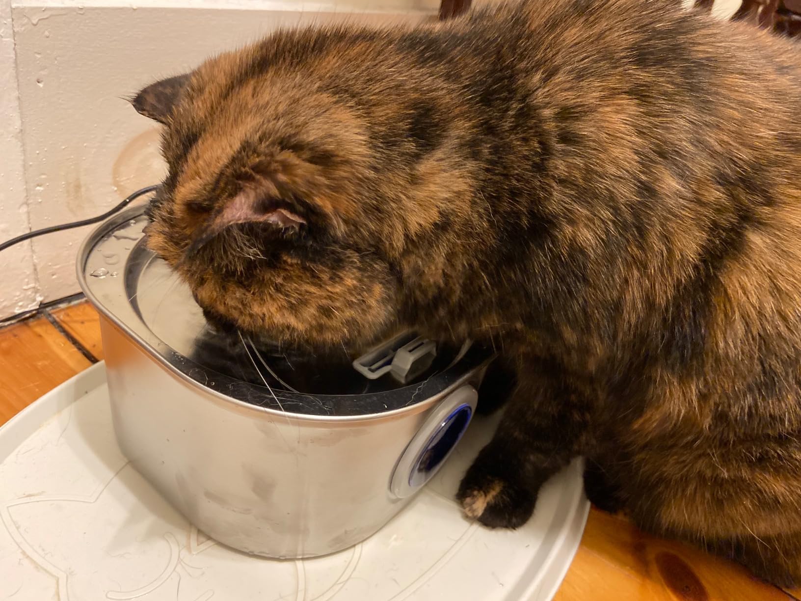 PEKTACO Stainless Steel Cat Water Fountain, 3.2L/108oz Cat Water Dispenser with Ultra-Quiet Water Pump and Water-Level Window, Dishwasher Safe Pet Drinking Fountain for Cats & Small Dogs customer photo 2