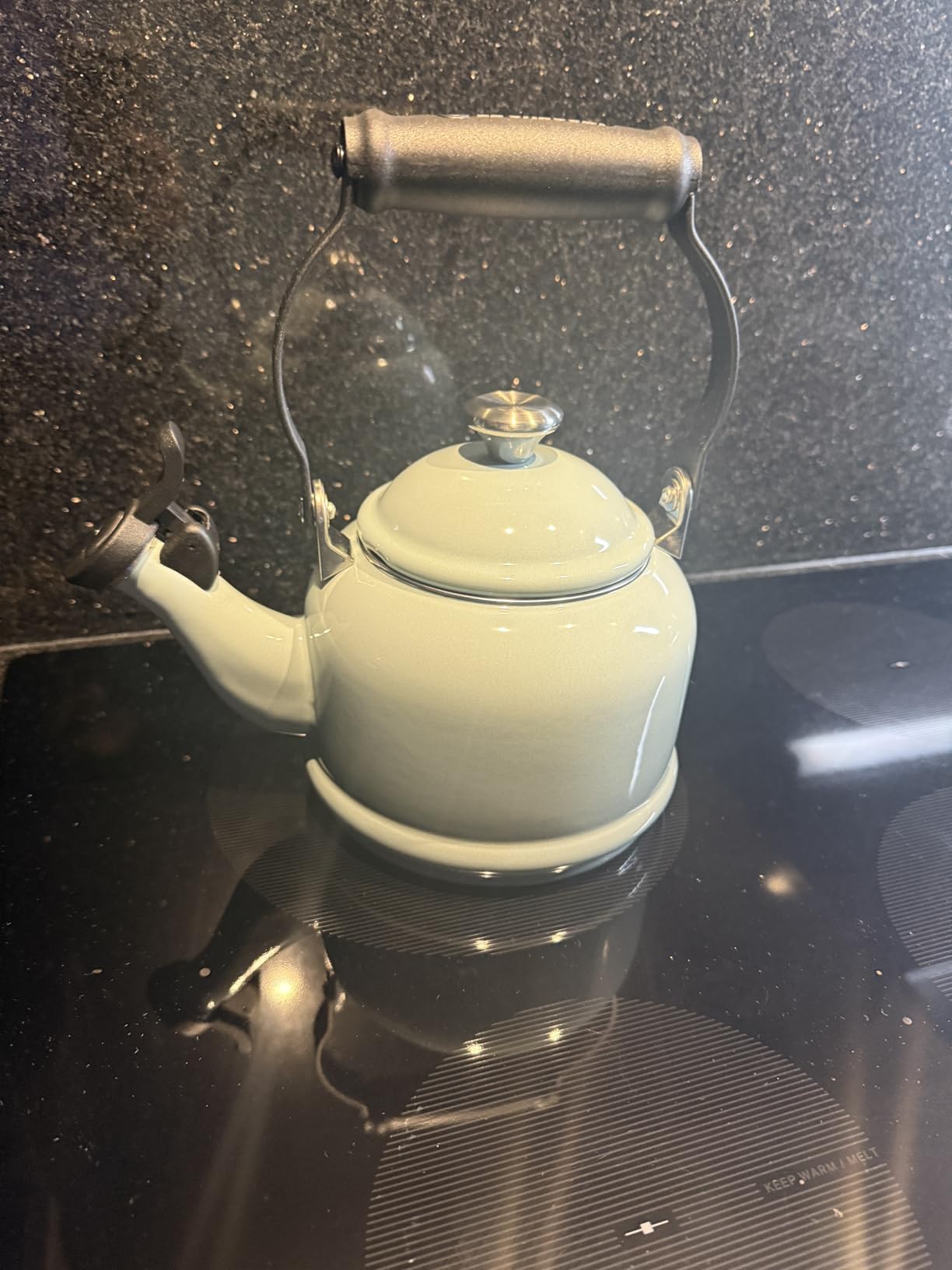 Le Creuset Enamel On Steel Demi Tea Kettle with Metal Finishes, 1.25 qt., Sea Salt customer photo 2