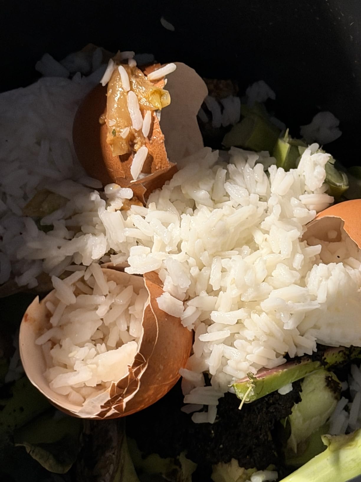 Food Cycler Eco 5 Award-Winning Kitchen Food Recycler | Indoor Composter Bin Alternative | Electric Countertop Food Disposer with Odorless 5L Indoor Food Waste Bin for Easy Waste Management | White customer photo 1