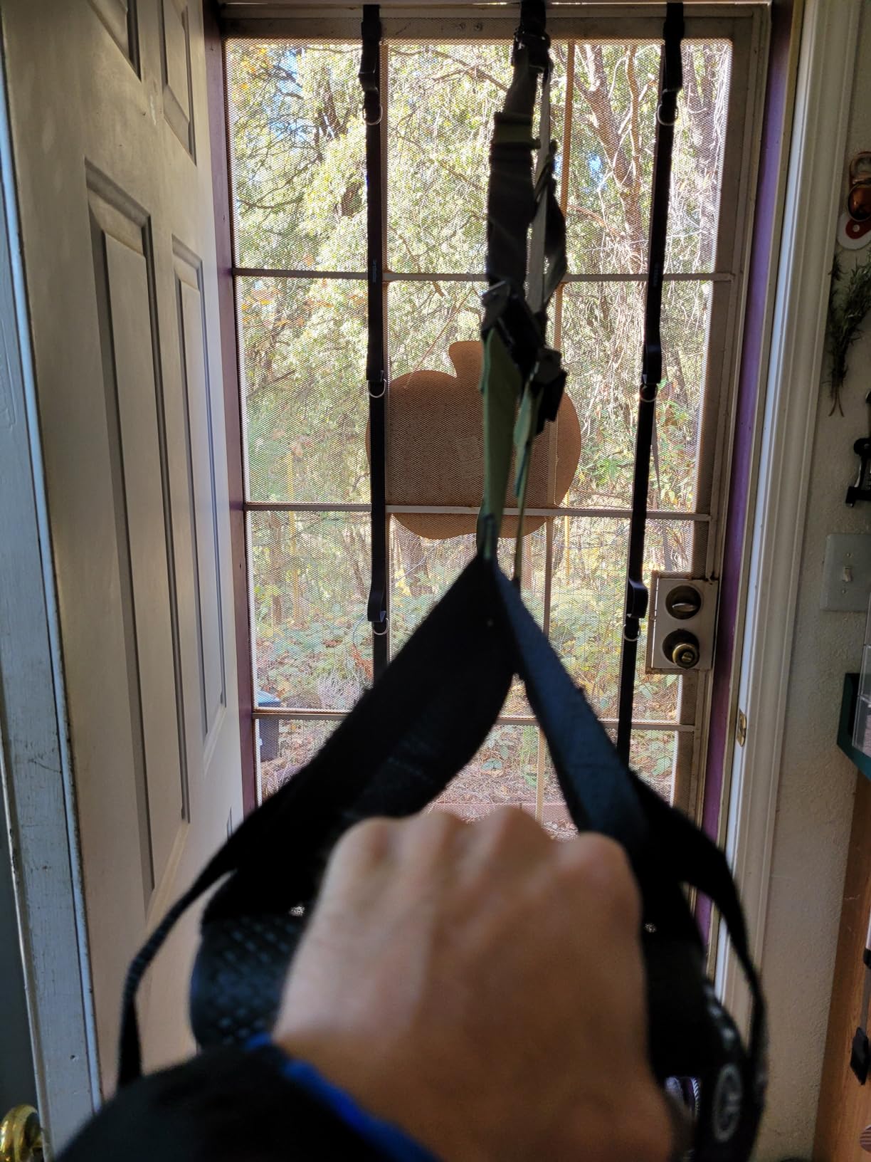 THYSOL Suspension Resistance Trainer PRO Suspension Straps with Door Anchor | Exercise straps for home gym full-body workouts. Home suspension training kit to build strength with adjustable straps. customer photo 2