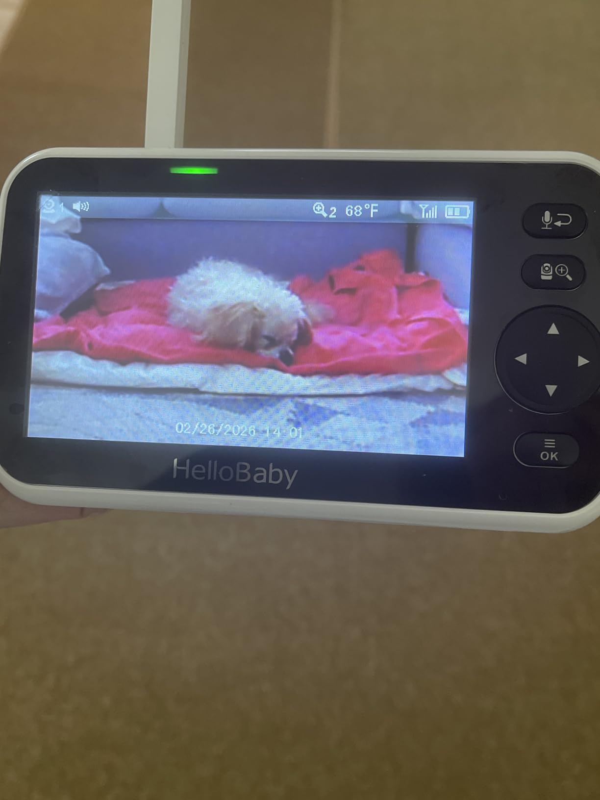 HelloBaby Upgrade 5