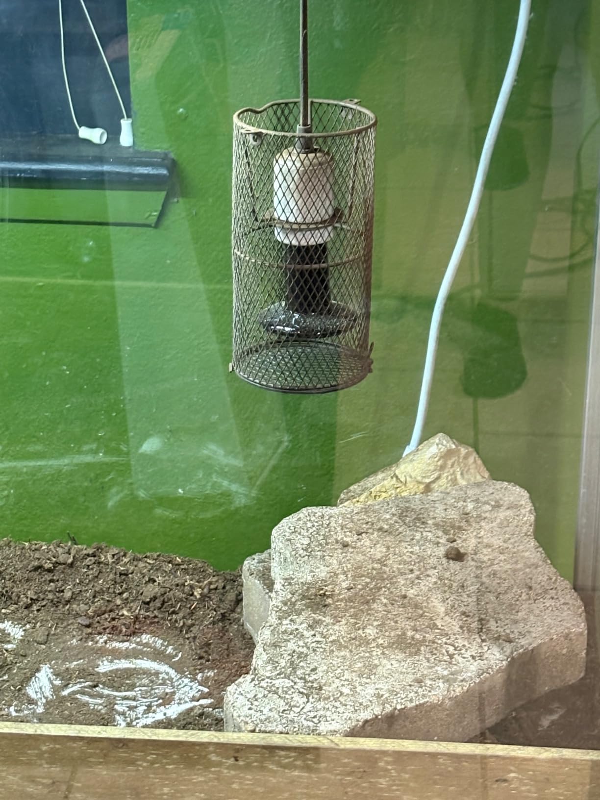 Ceramic Heat Emitter for Reptiles, 2 Pack 100W Heat Lamp Bulb, E26 Ceramic Reptile Heat Bulb Black, No Light Emitting Heat Lamp for Amphibian Pet, Heat Bulb for Bearded Dragon Turtle Snake Lizard customer photo 1