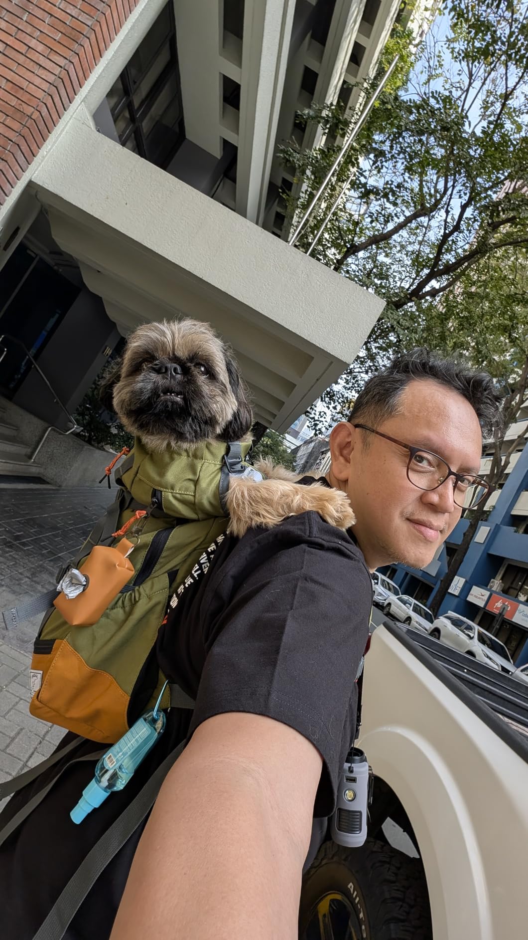 K9 Sport Sack Urban 3 - Small, Leafy - Ideal for Dogs with 13-16