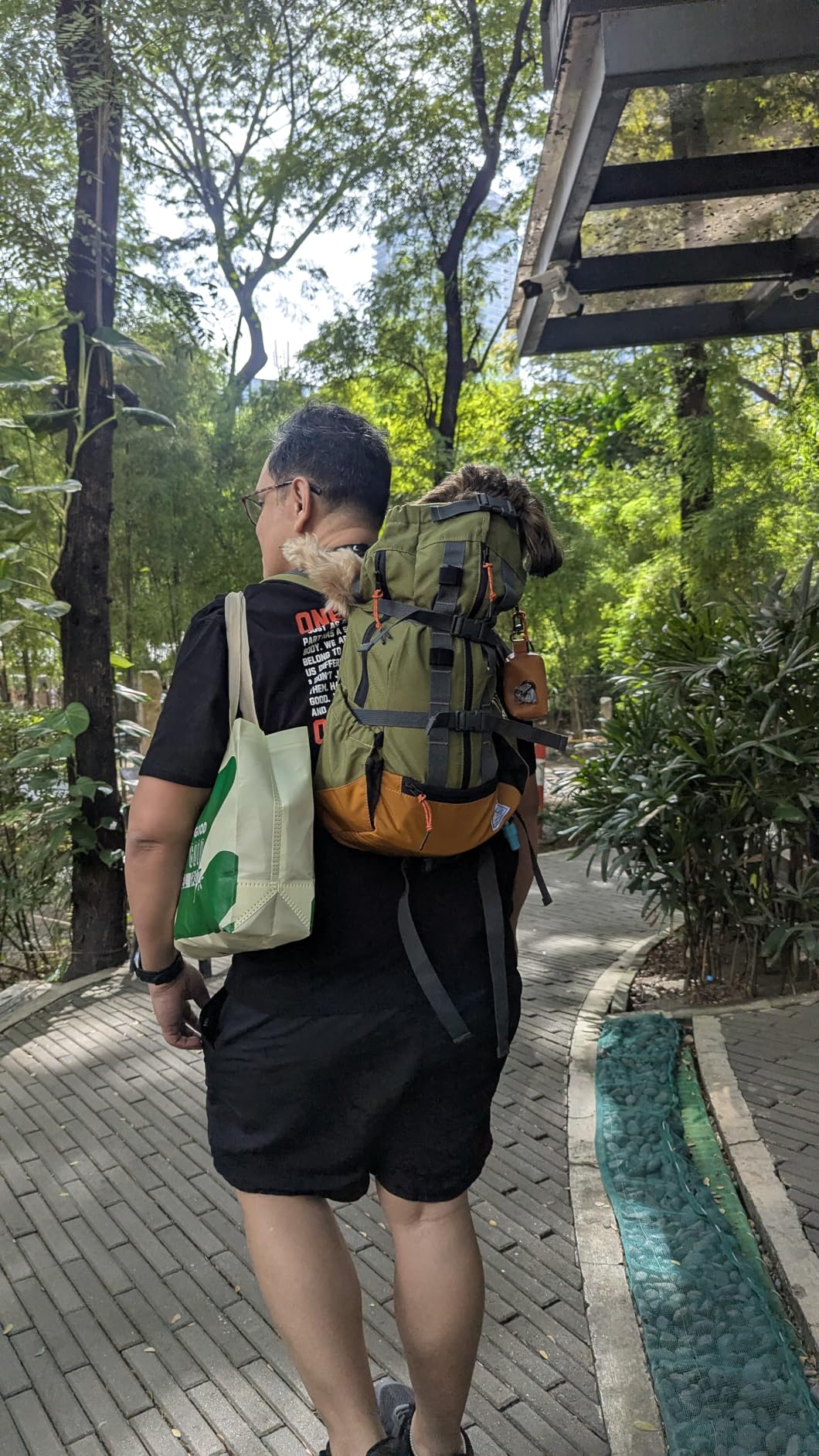 K9 Sport Sack Urban 3 - Small, Leafy - Ideal for Dogs with 13-16