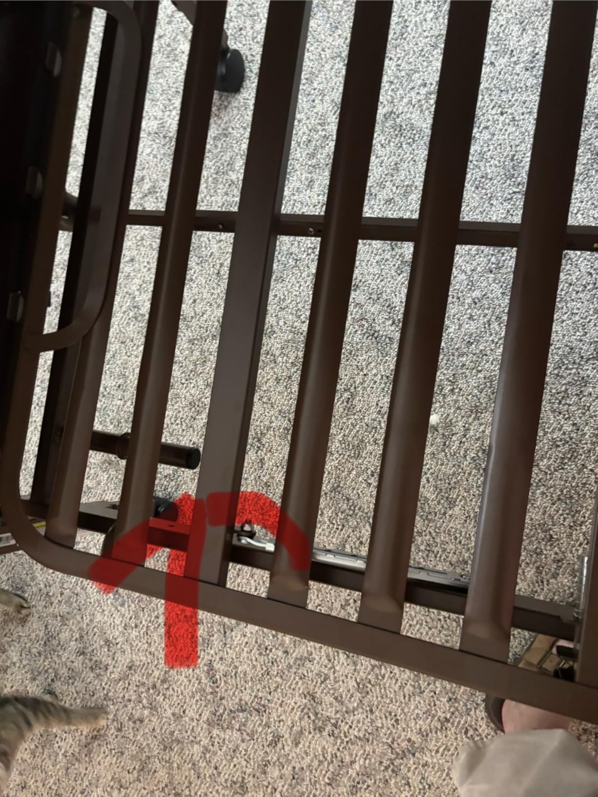 Fully Electric Hospital Bed Set - Foam Mattress, Half Rails Included - Enhanced Comfort, Convenience customer photo 2