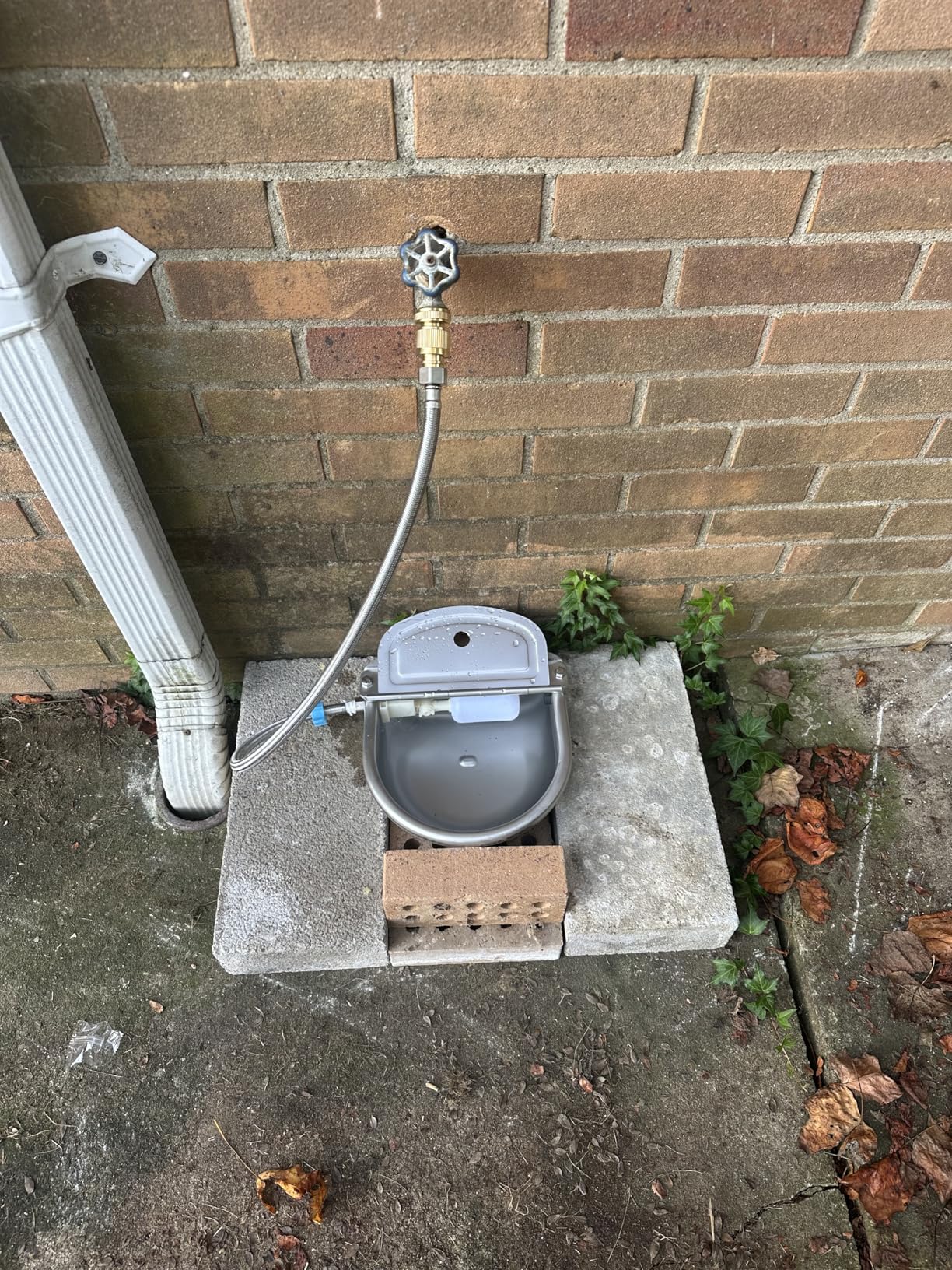 Automatic Animal Drinking Water Bowl, 304 Stainless Steel Waterer for Dog Horse Goat Pig Cow, Livestock Water Trough Dispenser with Pipe Hose, 2 Float Valves, Quick Connecter, Expansion Bolt customer photo 1