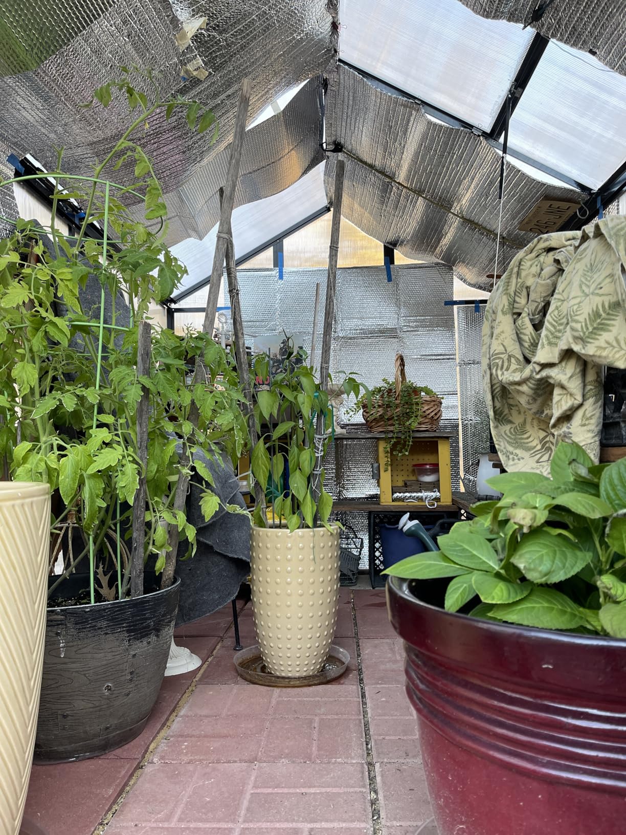 DGSL Double Reflective Bubble Foil Insulation Foam, 23.6 in X 10 FT Aluminum Foil Thermal Insulation Radiant Barrier for Window, Garage Door, RV, Roof customer photo 1