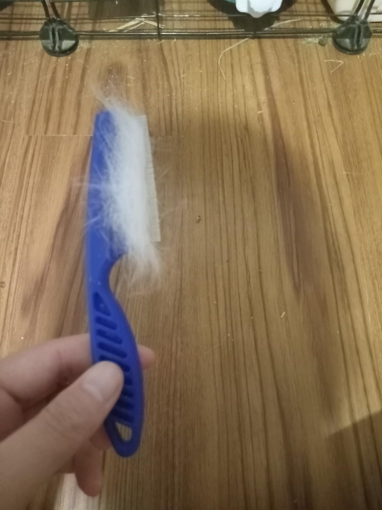 VCZONE 8 Pcs Small Animal Grooming Kit, Rabbit Grooming Kit with Pet Nail Clipper and File, Flea Comb, Pet Shampoo Bath Brush, Pet Shedding Slicker Brush, Bath Massage Glove, Cleaning Comb (Purple) customer photo 2