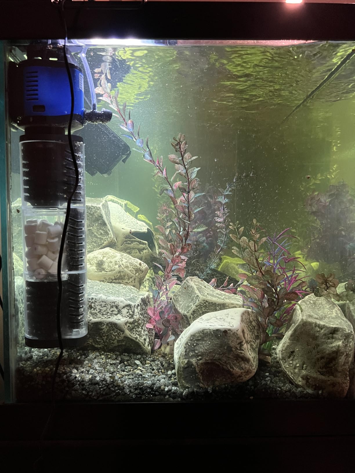 TARARIUM Fish Tank Filter Powerful 400GPH for 75-200 Gallon Large Aquarium Small Pond Fountain, Wave-Maker Submersible Water Pump Turtle Tank Filter for Saltwater & Freshwater System customer photo 1