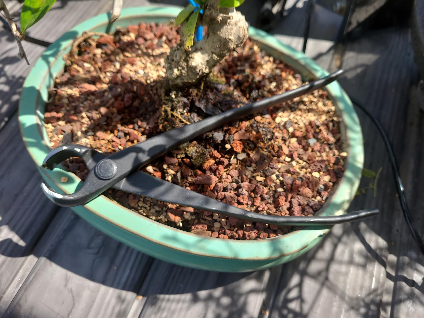 Bonsai Concave Cutter, Bonsai Tools Concave Cutter, 8.4 Inch Manganese Steel Alloy Sharp Blade Round Edge Knob Cutter, Gardening Concave Pruner(210mm / 8.27inch)(210mm) customer photo 2