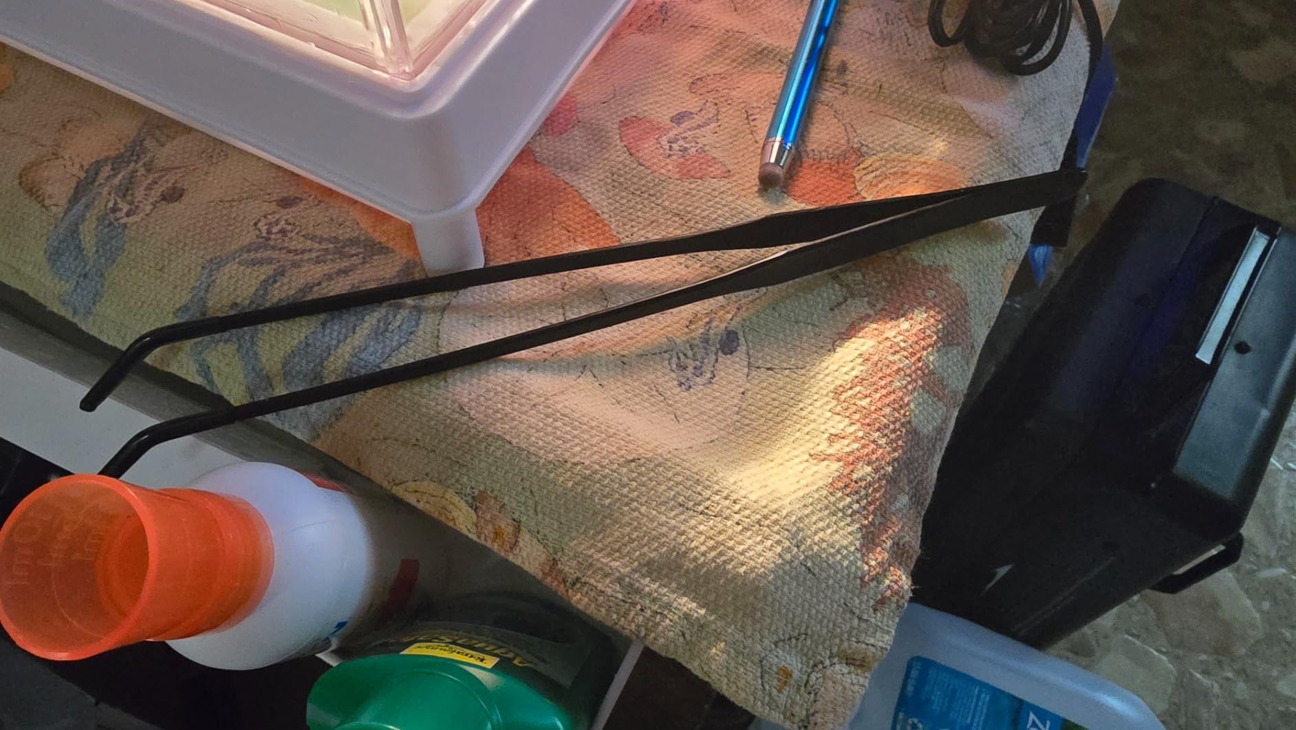 Lasnten 2 Pcs Extra Long Stainless Steel Reptile Feeding Tongs with Rubber Tip 10 Inch, 10.5 Inch Bearded Dragon Aquarium Straight and Curved Long Tweezer Terrarium Feeder Tool for Tank(Silver) customer photo 2