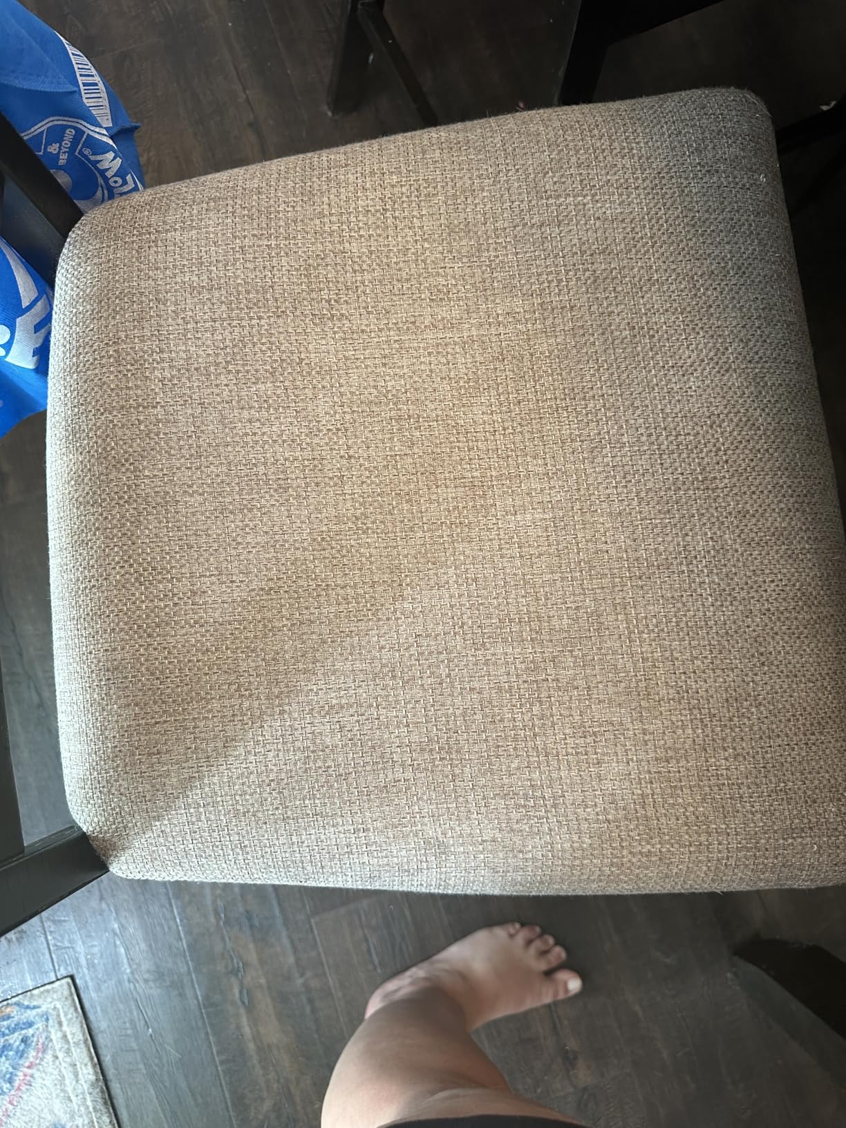 Shark CarpetXpert Upright Carpet, Area Rug & Upholstery Cleaner with StainStriker Handheld Tough Stain Eliminator customer photo 2