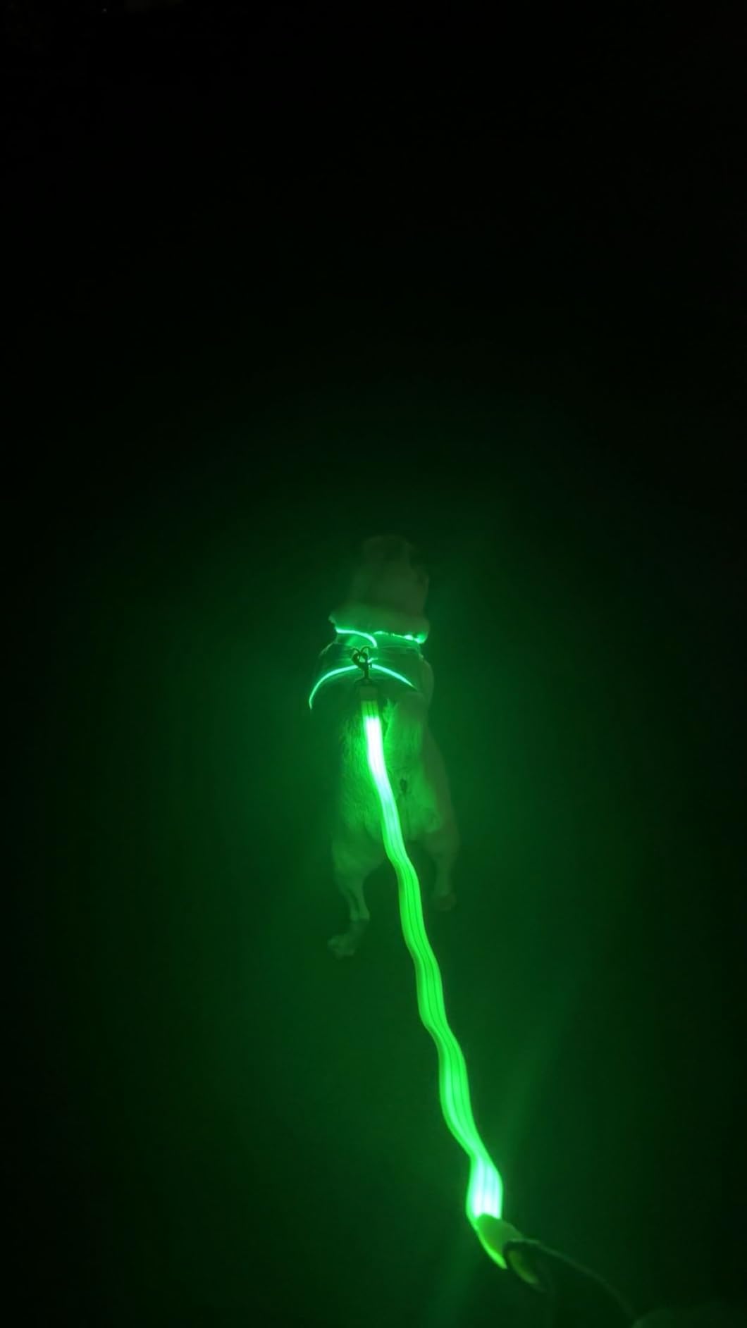 PceoTllar Light Up Dog Harness, LED No Pull Reflective Dog Harness, Flashing Lighted for Night Walking - Small/Medium, (Black Green,xs) customer photo 1