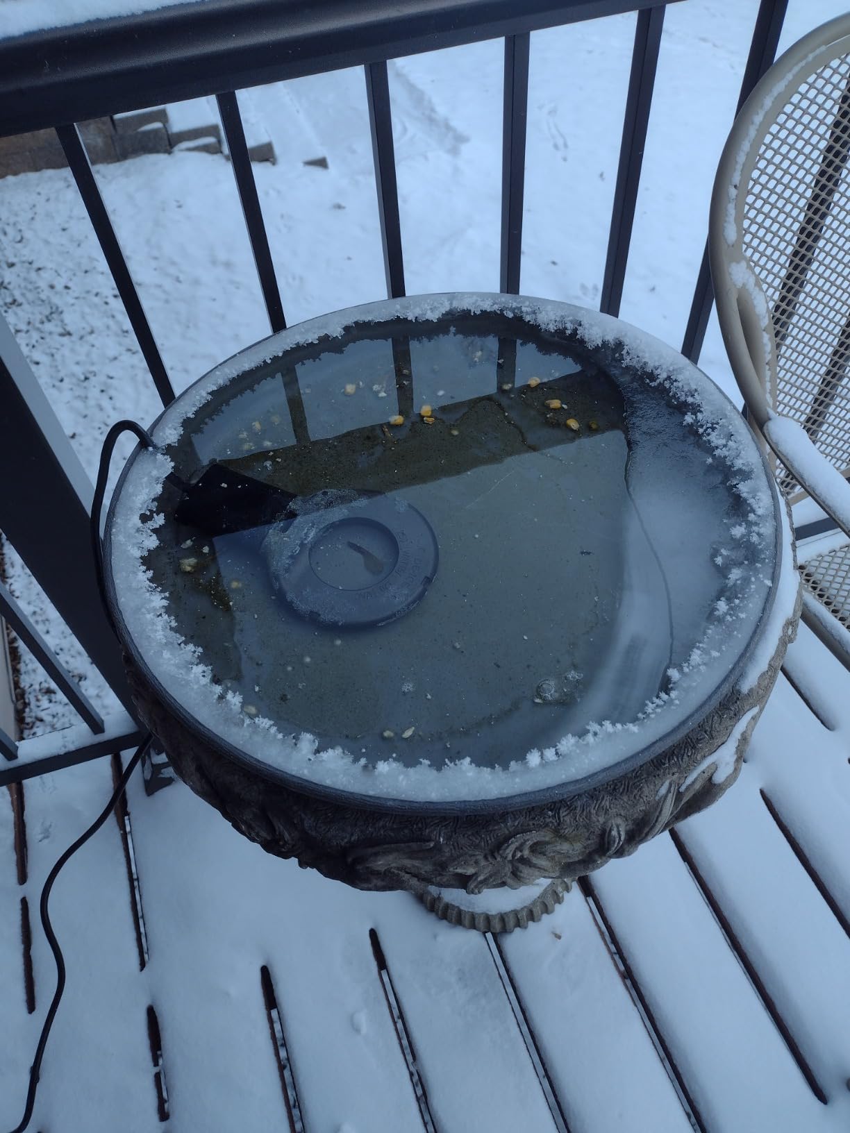 250 Watt Utility De-Icer Submergible Cast Aluminum Chicken Water Heater for Livestock Tank Heater Winter Bird Bath Heater (1, Black) customer photo 2