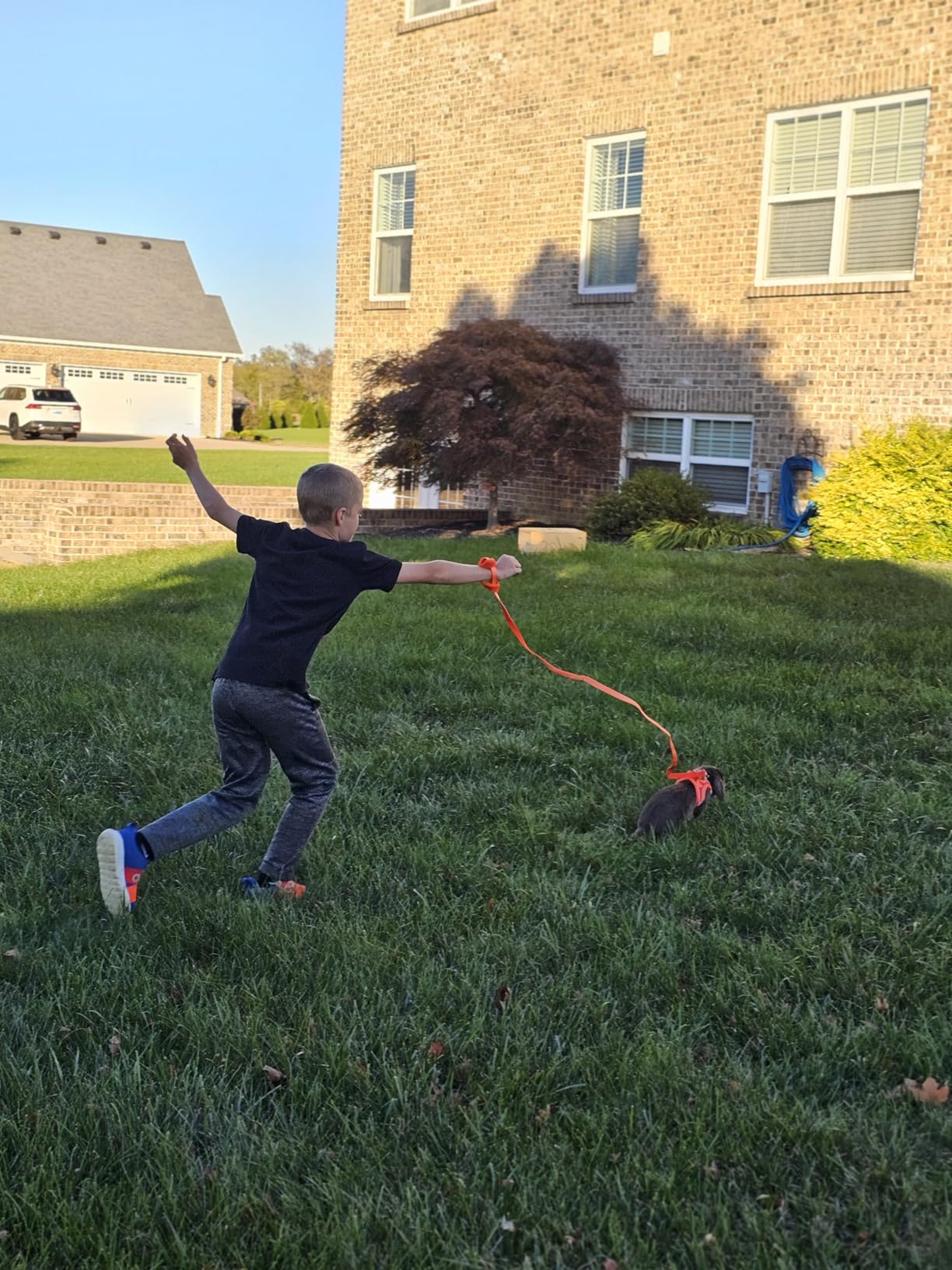 GAMUDA Small Pet Harness Collar and Leash Set, Step in No Chock No Pull Linen Fabric Soft Mesh customer photo 1