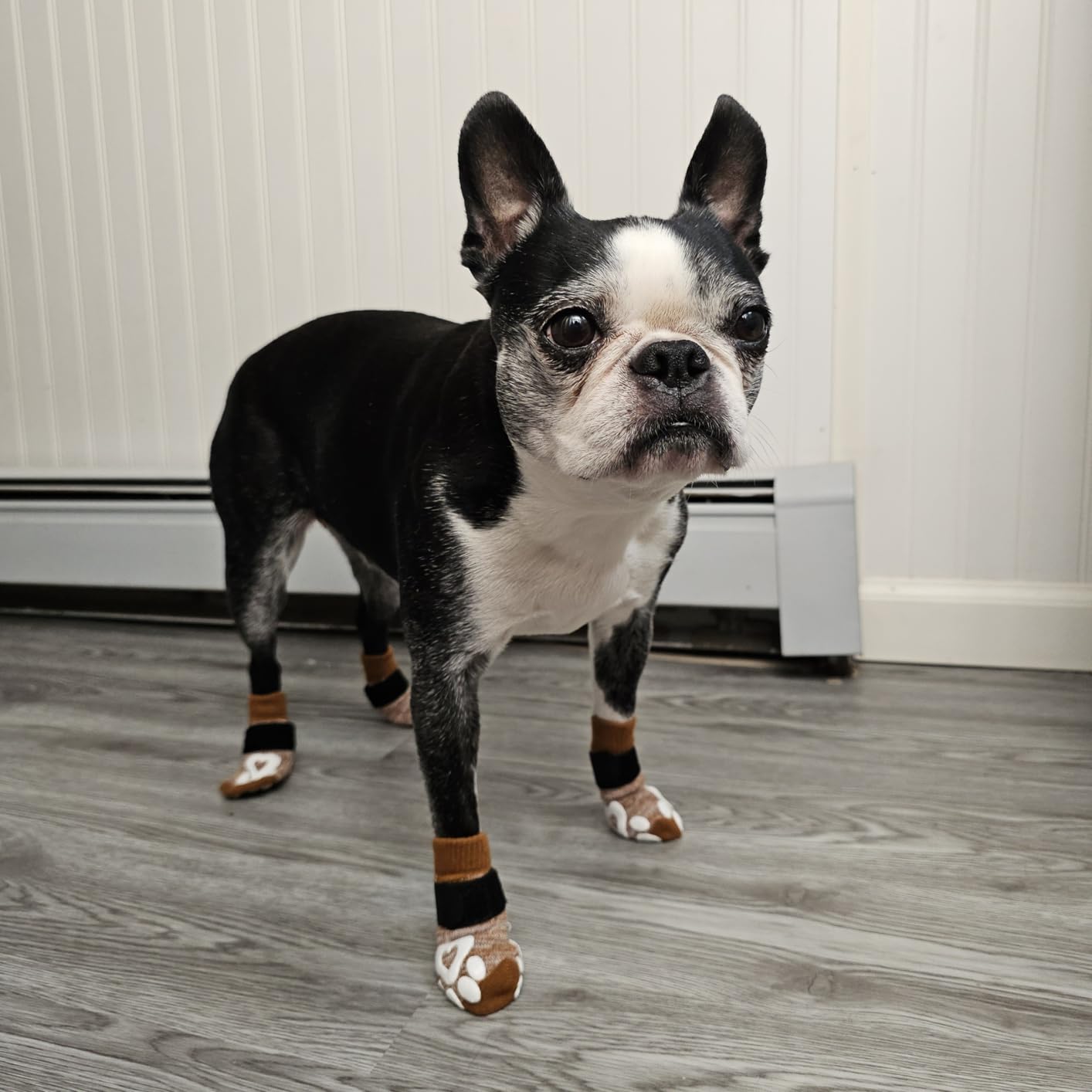 Anti Slip Dog Socks for Hardwood Floors, 6 Pack | Dog Socks to Prevent Licking Paws and Add Traction | Paw Protection for Senior Dogs | Dog Booties Alternative - Medium customer photo 1